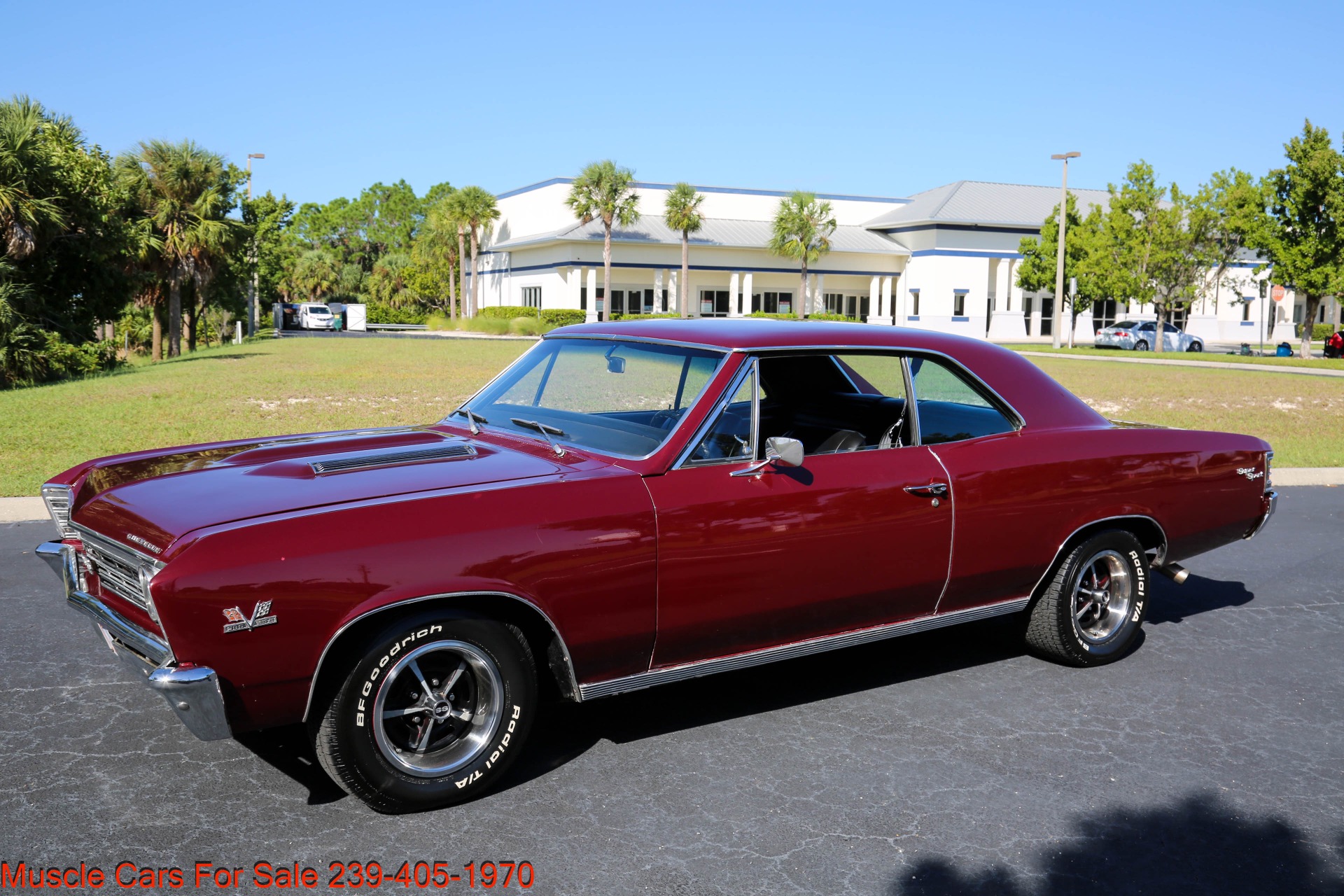 Used 1967 Chevrolet Chevelle SS Super Sport 396 Manual for sale Sold at Muscle Cars for Sale Inc. in Fort Myers FL 33912 5