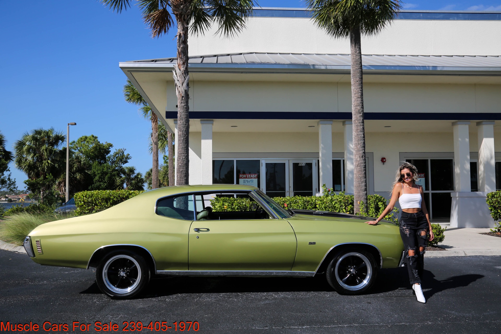 Used 1971 Chevrolet Chevelle SS Super Sport for sale $33,500 at Muscle Cars for Sale Inc. in Fort Myers FL 33912 2