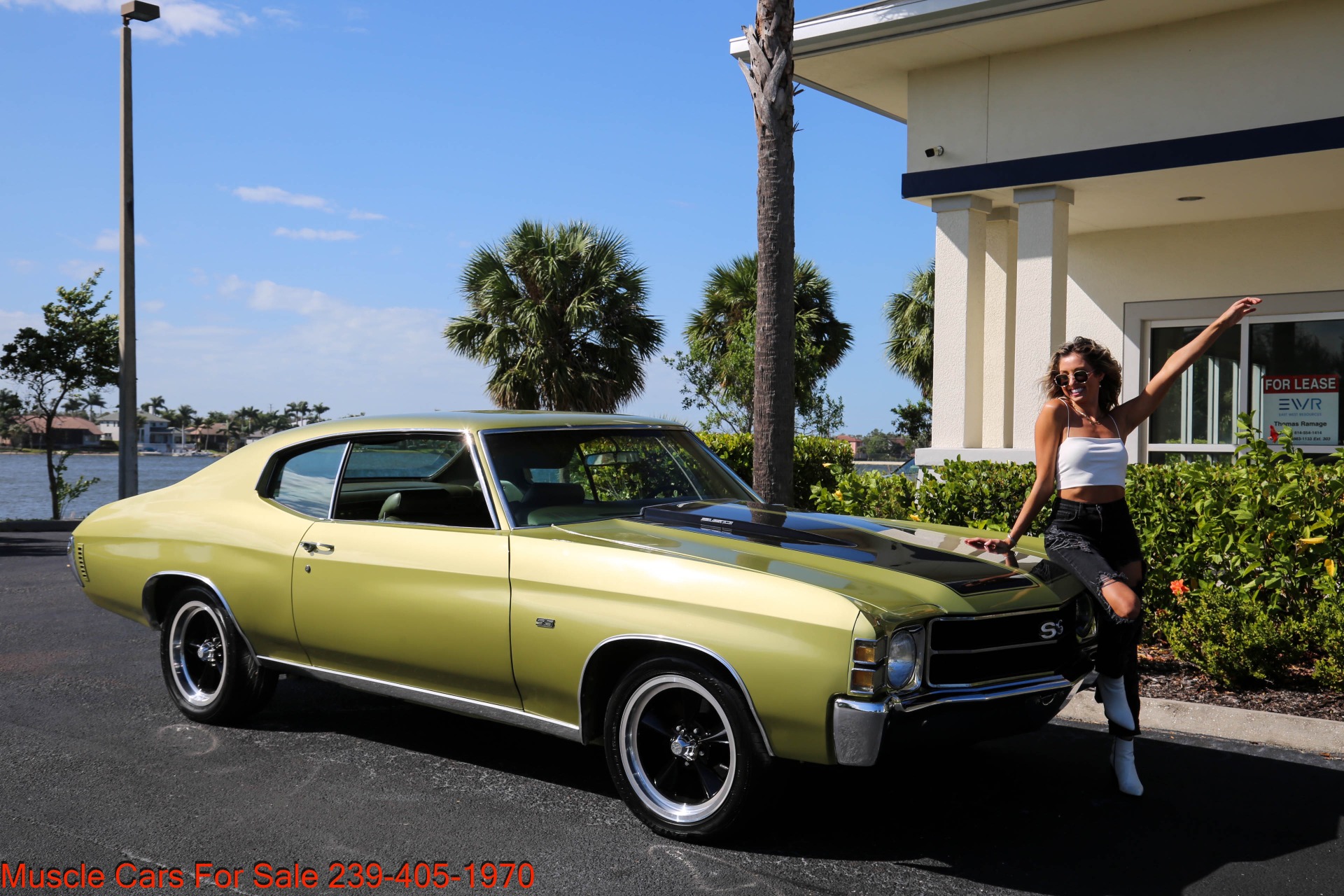 Used 1971 Chevrolet Chevelle SS Super Sport for sale $33,500 at Muscle Cars for Sale Inc. in Fort Myers FL 33912 3