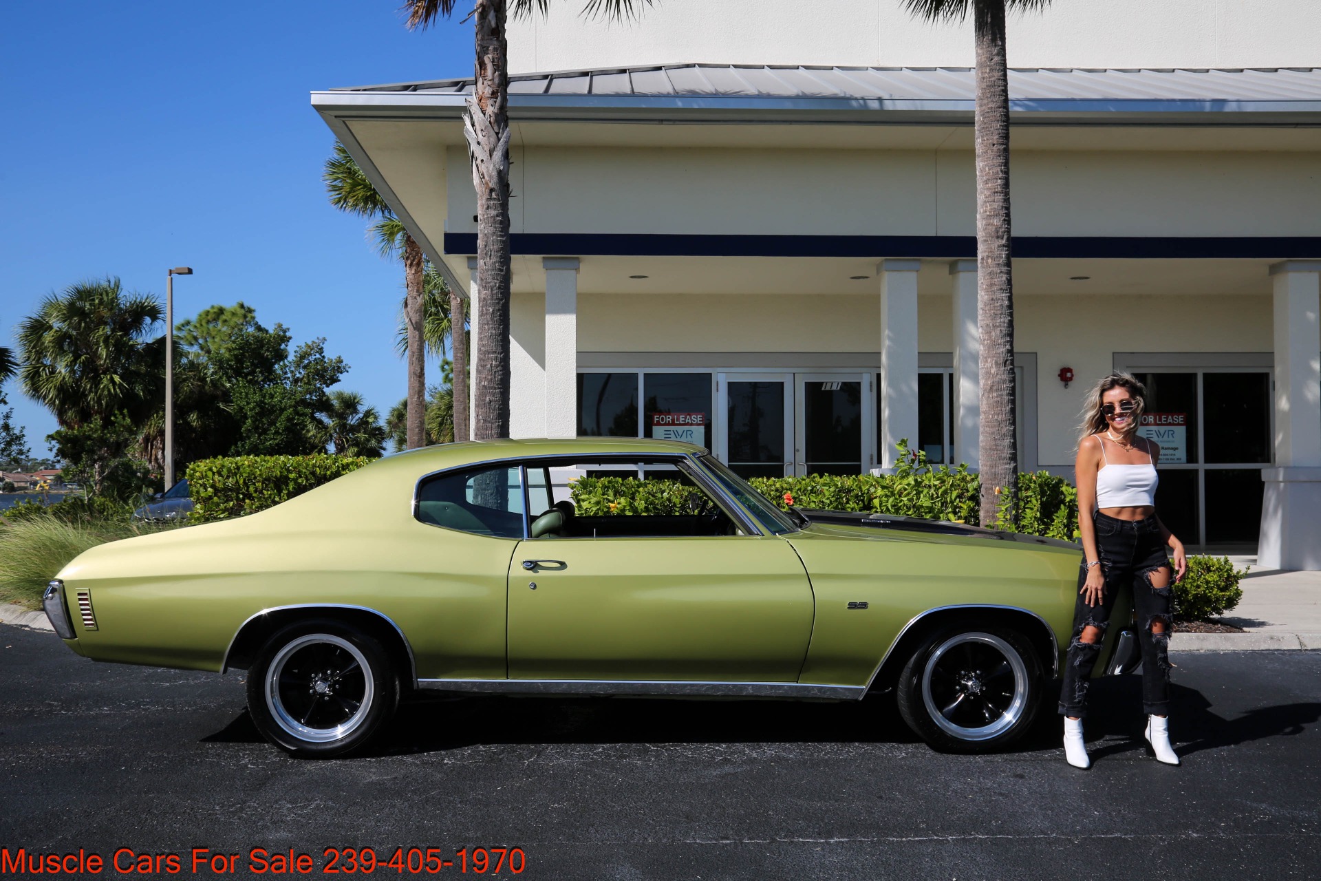 Used 1971 Chevrolet Chevelle SS Super Sport for sale $33,500 at Muscle Cars for Sale Inc. in Fort Myers FL 33912 5