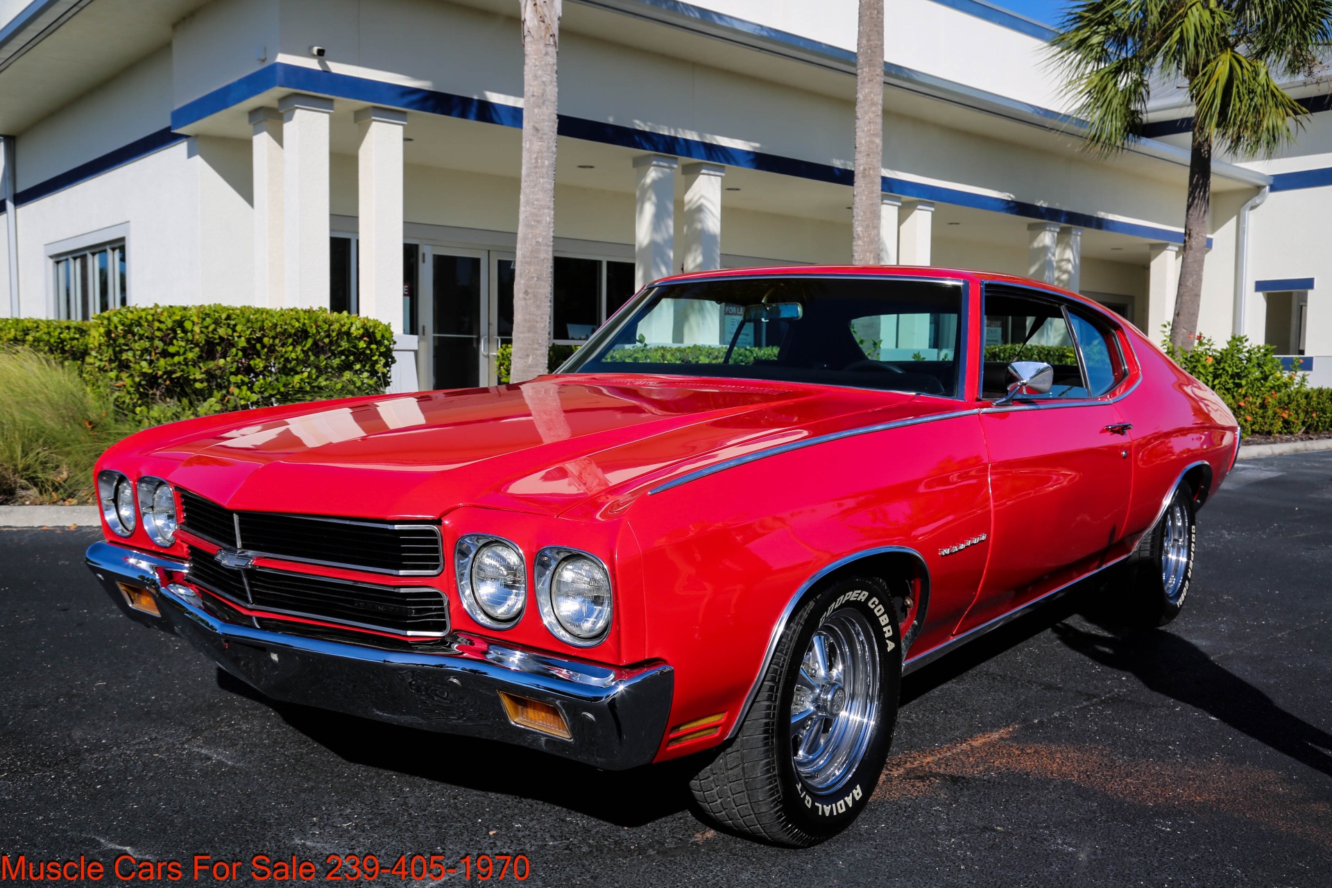 Used 1970 Chevrolet Chevelle V8 Auto for sale Sold at Muscle Cars for Sale Inc. in Fort Myers FL 33912 2