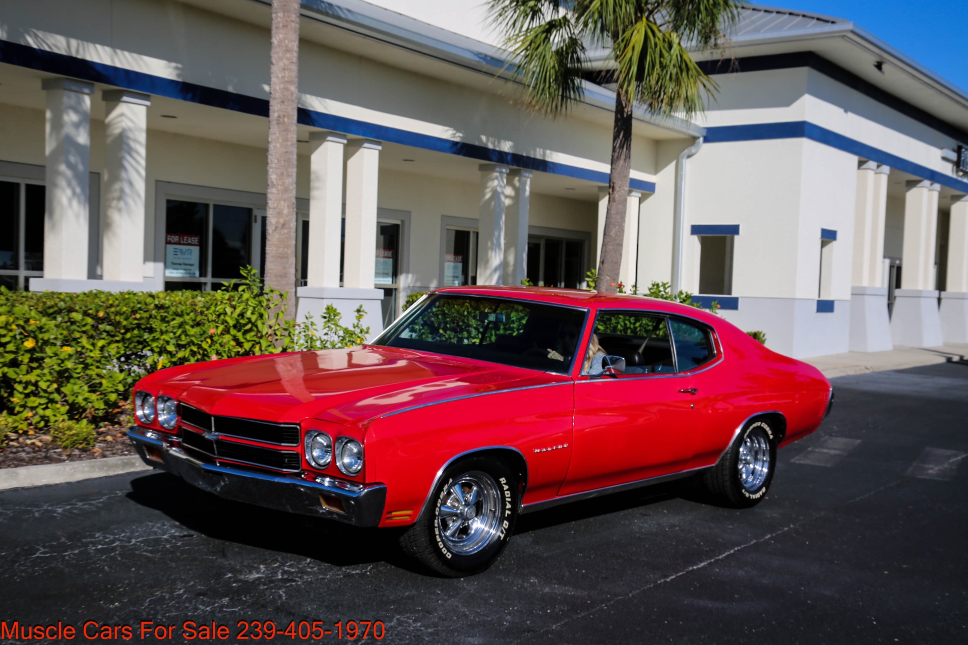 Used 1970 Chevrolet Chevelle V8 Auto for sale Sold at Muscle Cars for Sale Inc. in Fort Myers FL 33912 5
