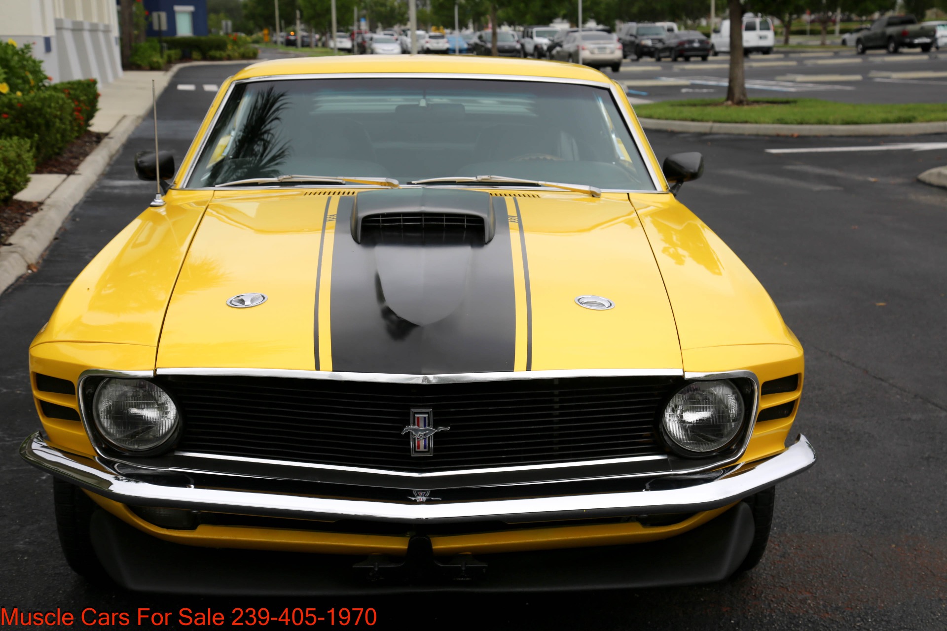 Used 1970 Ford Mustang Fastback 351 4 speed auto for sale $43,500 at Muscle Cars for Sale Inc. in Fort Myers FL 33912 5