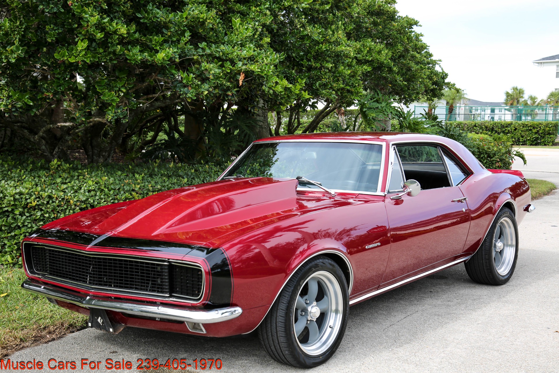 Used 1967 Chevrolet Camaro Rally Sport for sale $44,000 at Muscle Cars for Sale Inc. in Fort Myers FL 33912 3