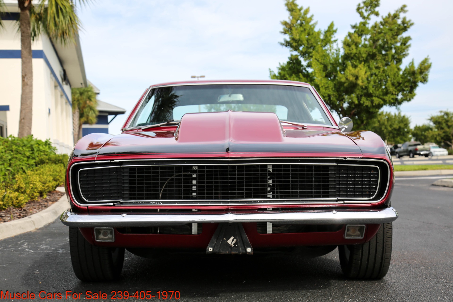 Used 1967 Chevrolet Camaro Rally Sport for sale $44,000 at Muscle Cars for Sale Inc. in Fort Myers FL 33912 6