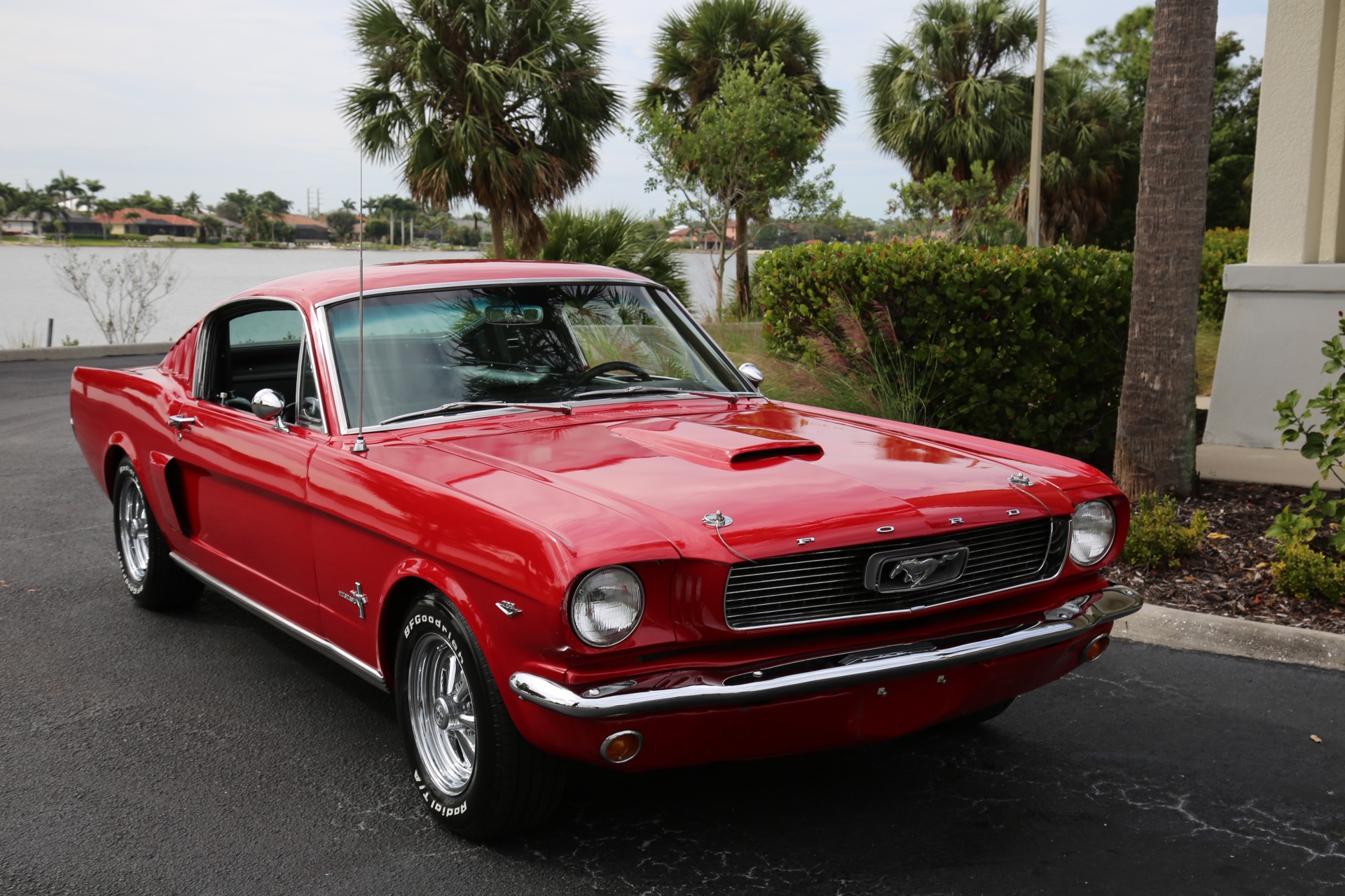 Used 1966 Ford Mustang V8 Manual 5 speed for sale Sold at Muscle Cars for Sale Inc. in Fort Myers FL 33912 5