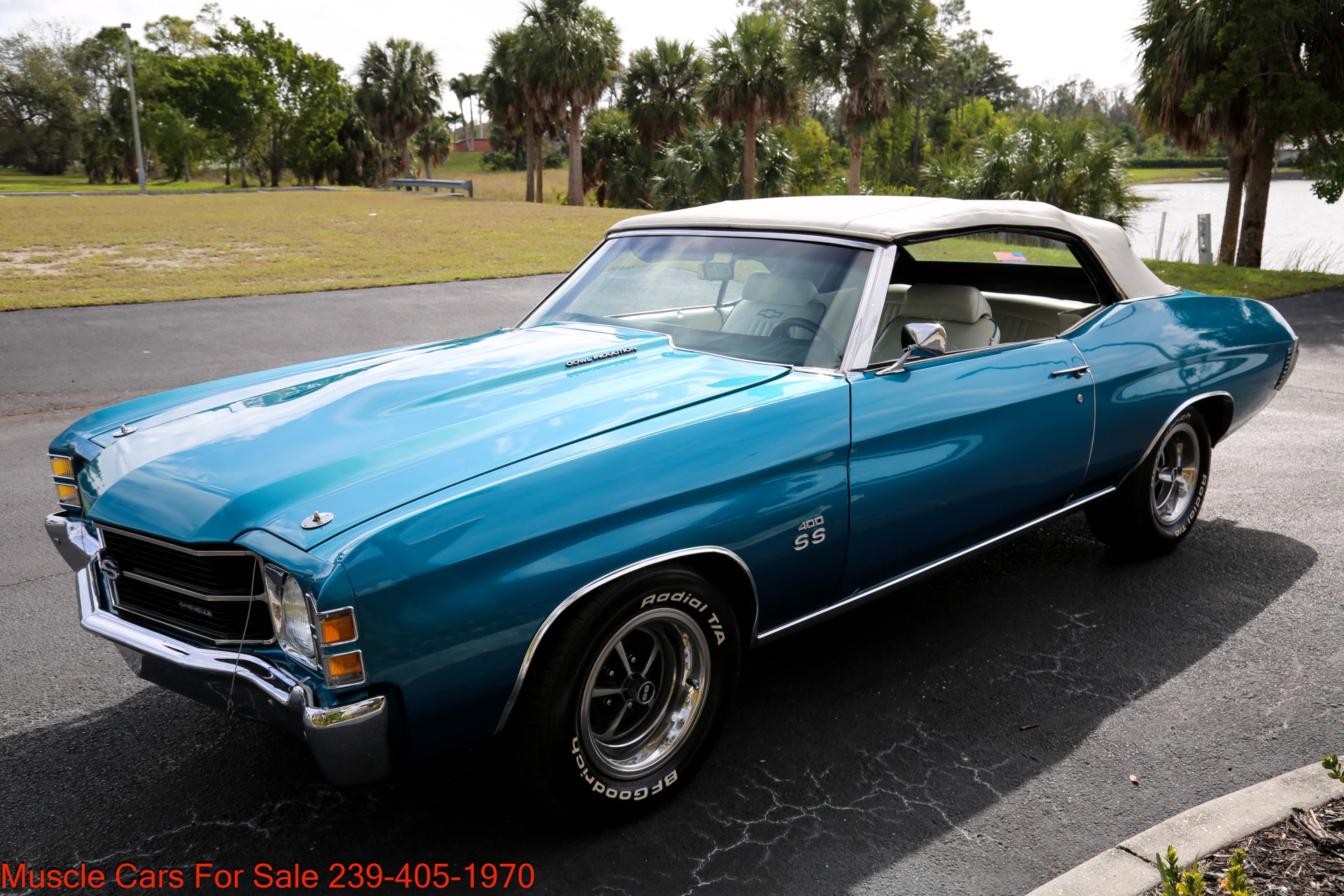 Used 1971 Chevrolet Chevelle SS SS for sale Sold at Muscle Cars for Sale Inc. in Fort Myers FL 33912 2