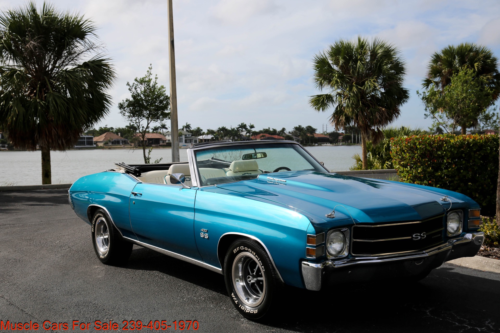 Used 1971 Chevrolet Chevelle SS SS for sale Sold at Muscle Cars for Sale Inc. in Fort Myers FL 33912 5