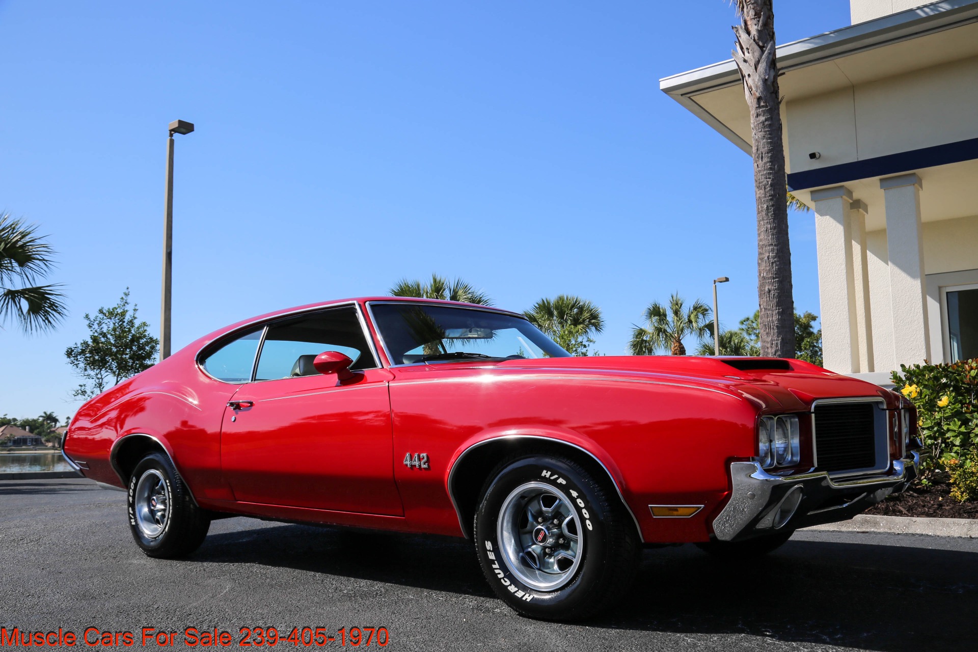 Used 1971 Oldsmobile Cutlass 442 for sale $31,000 at Muscle Cars for Sale Inc. in Fort Myers FL 33912 3