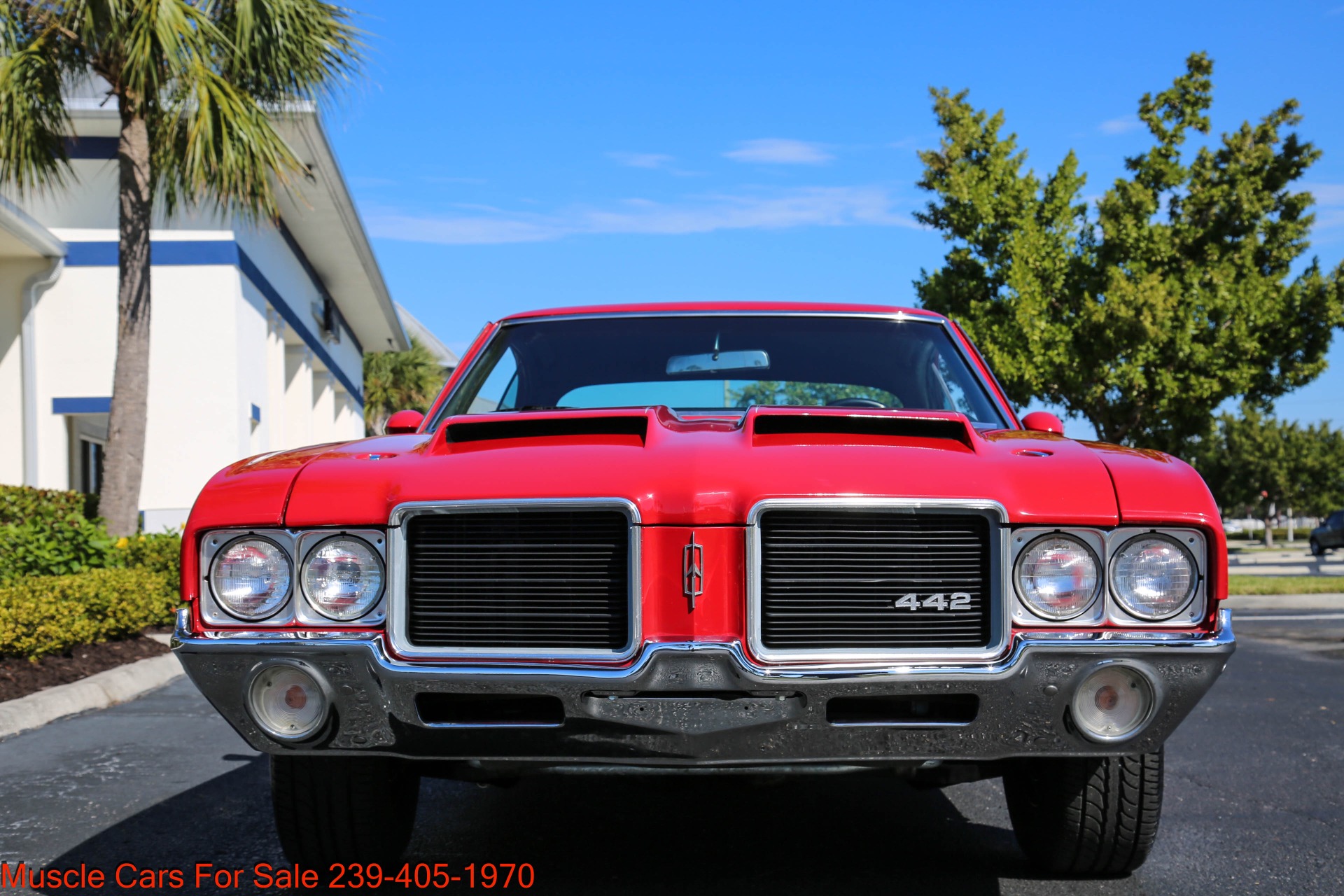 Used 1971 Oldsmobile Cutlass 442 for sale $31,000 at Muscle Cars for Sale Inc. in Fort Myers FL 33912 4