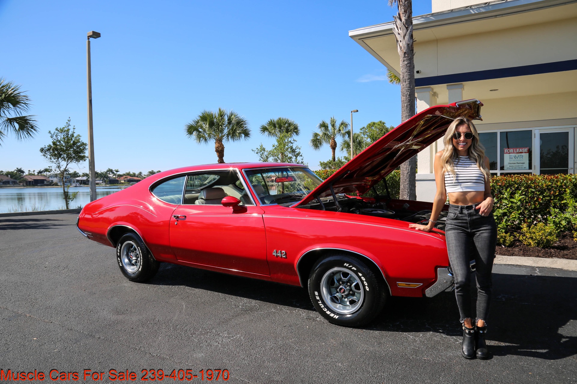 Used 1971 Oldsmobile Cutlass 442 for sale $31,000 at Muscle Cars for Sale Inc. in Fort Myers FL 33912 6