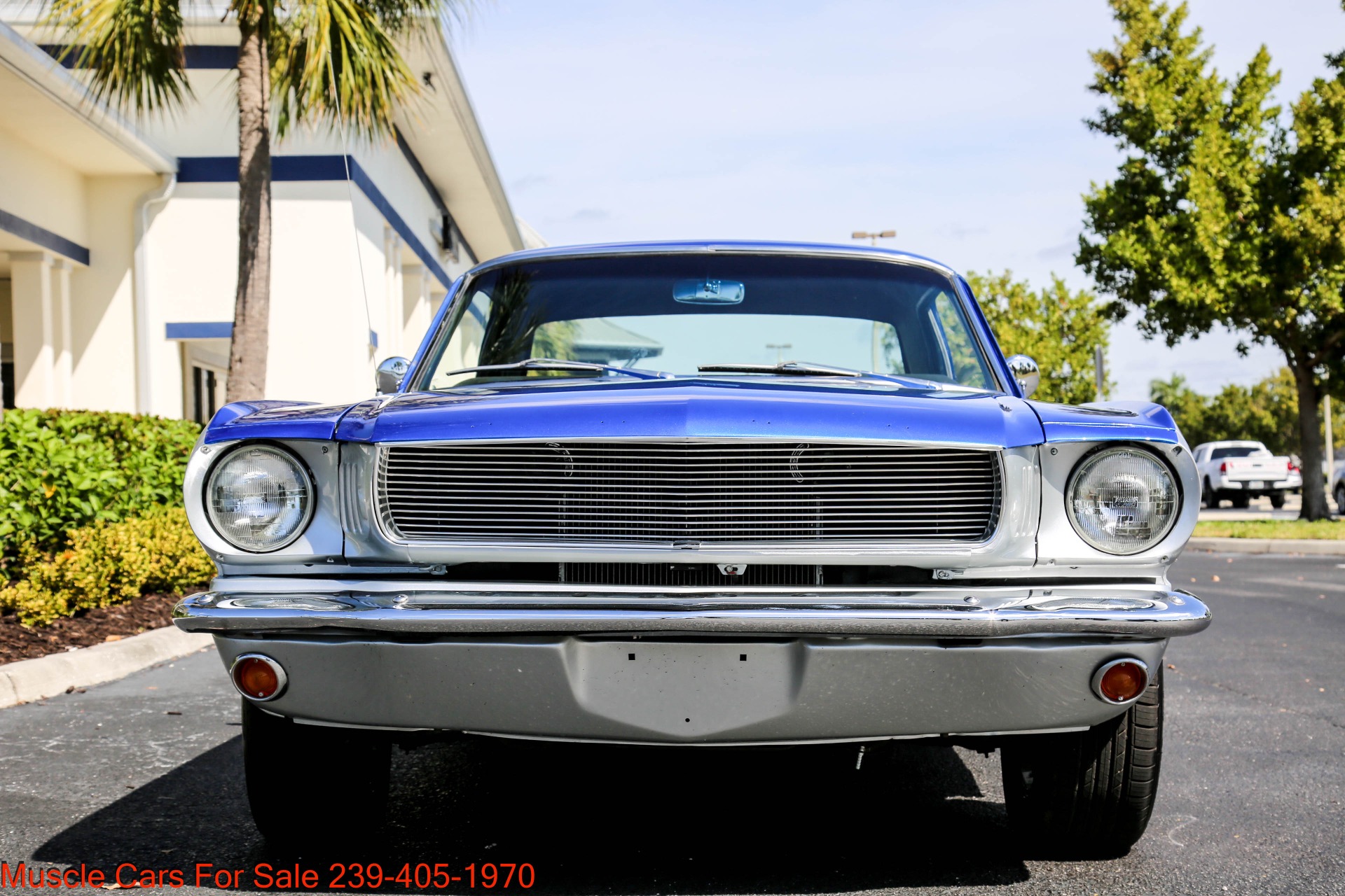 Used 1966 Ford Mustang V8 Auto for sale Sold at Muscle Cars for Sale Inc. in Fort Myers FL 33912 2