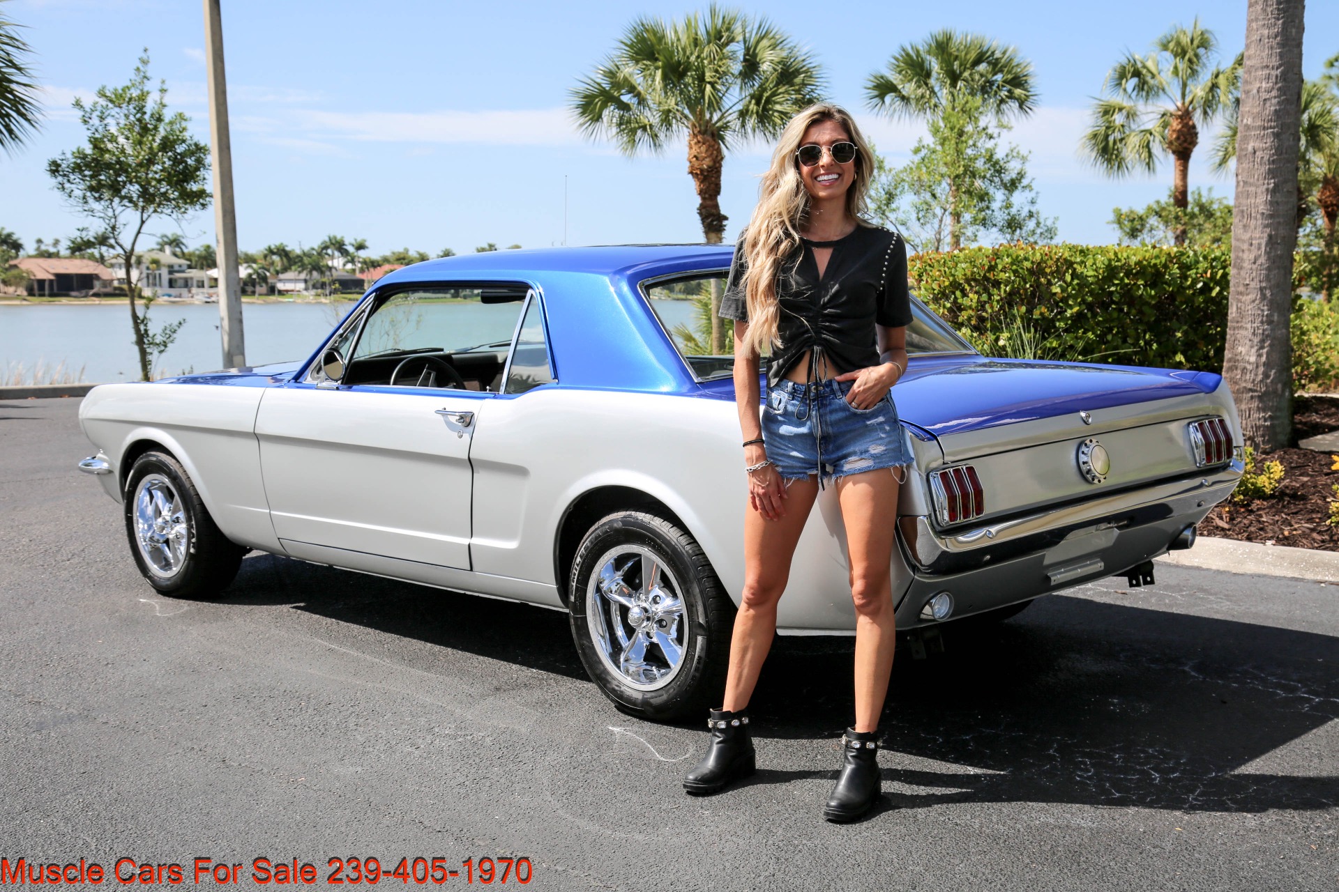 Used 1966 Ford Mustang V8 Auto for sale Sold at Muscle Cars for Sale Inc. in Fort Myers FL 33912 3