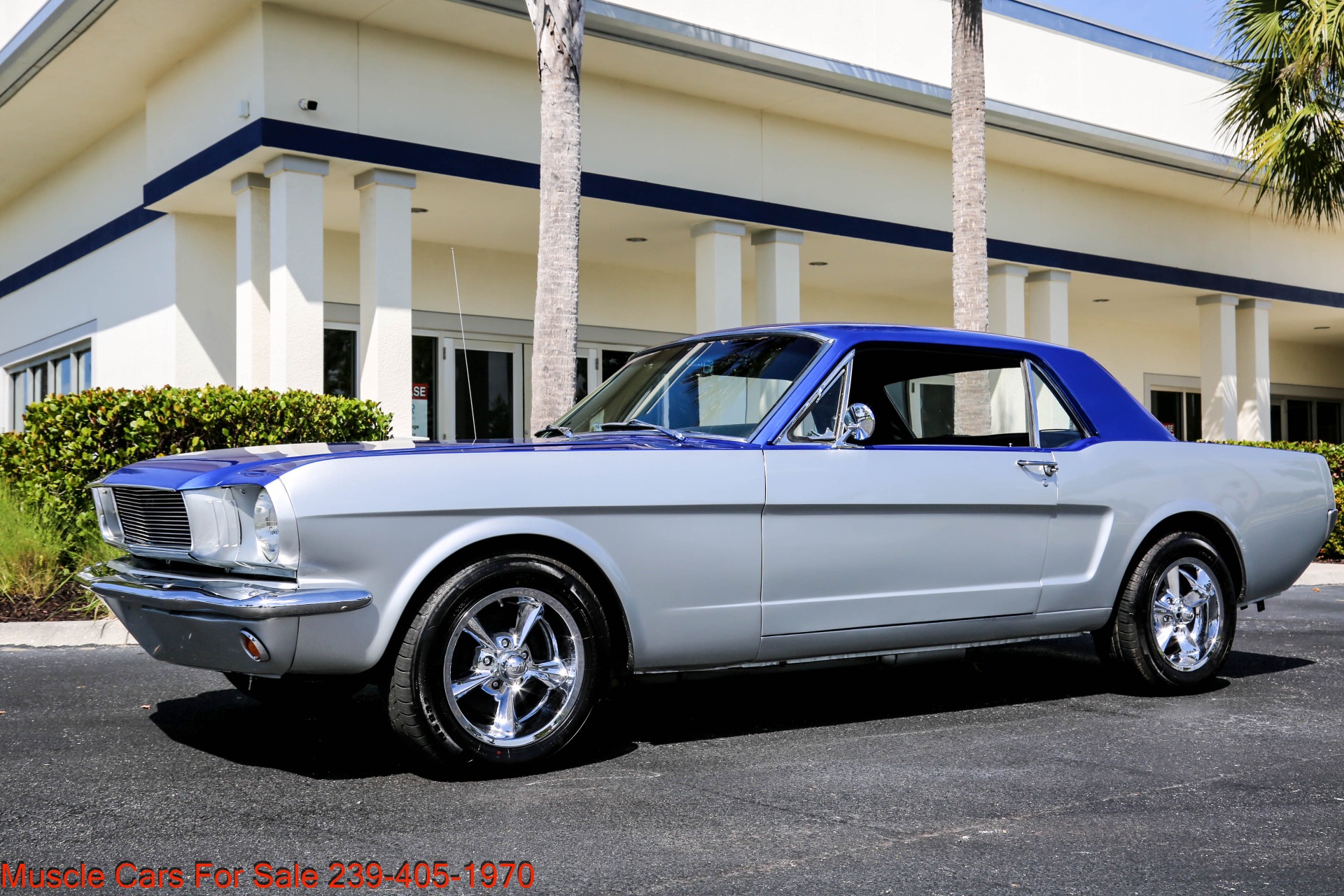 Used 1966 Ford Mustang V8 Auto for sale Sold at Muscle Cars for Sale Inc. in Fort Myers FL 33912 4