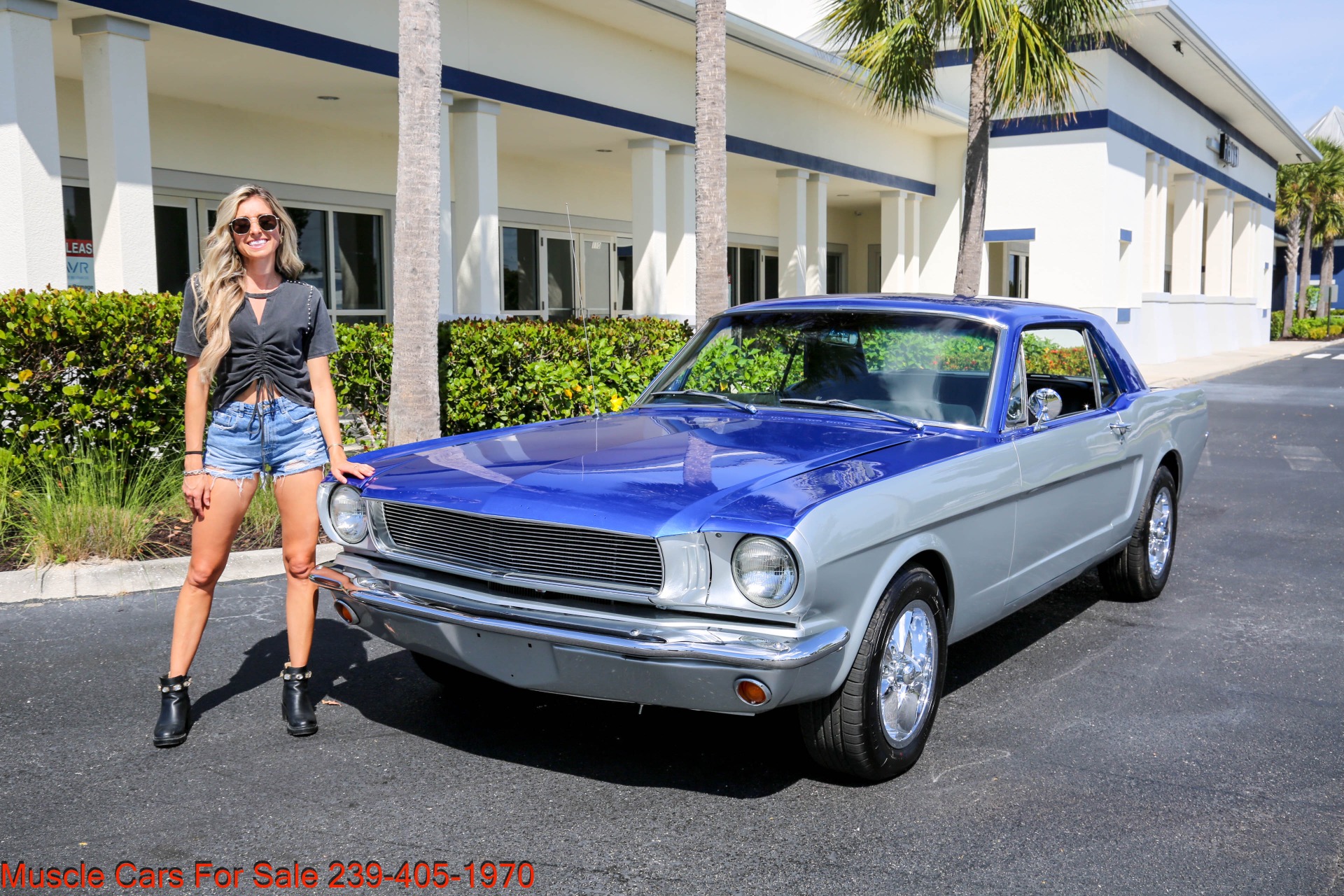 Used 1966 Ford Mustang V8 Auto for sale Sold at Muscle Cars for Sale Inc. in Fort Myers FL 33912 5