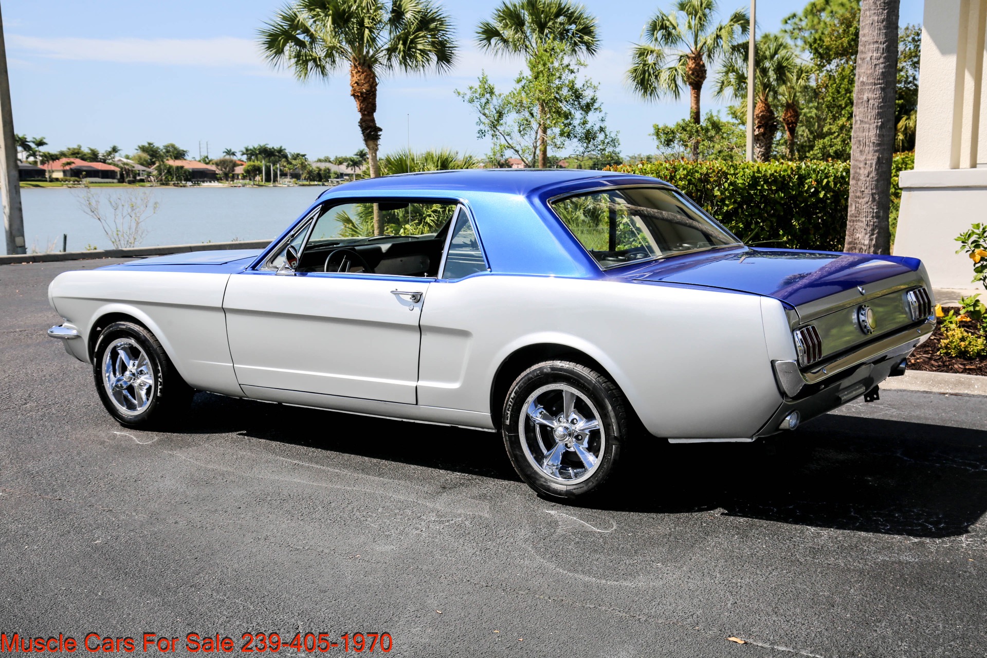 Used 1966 Ford Mustang V8 Auto for sale Sold at Muscle Cars for Sale Inc. in Fort Myers FL 33912 6
