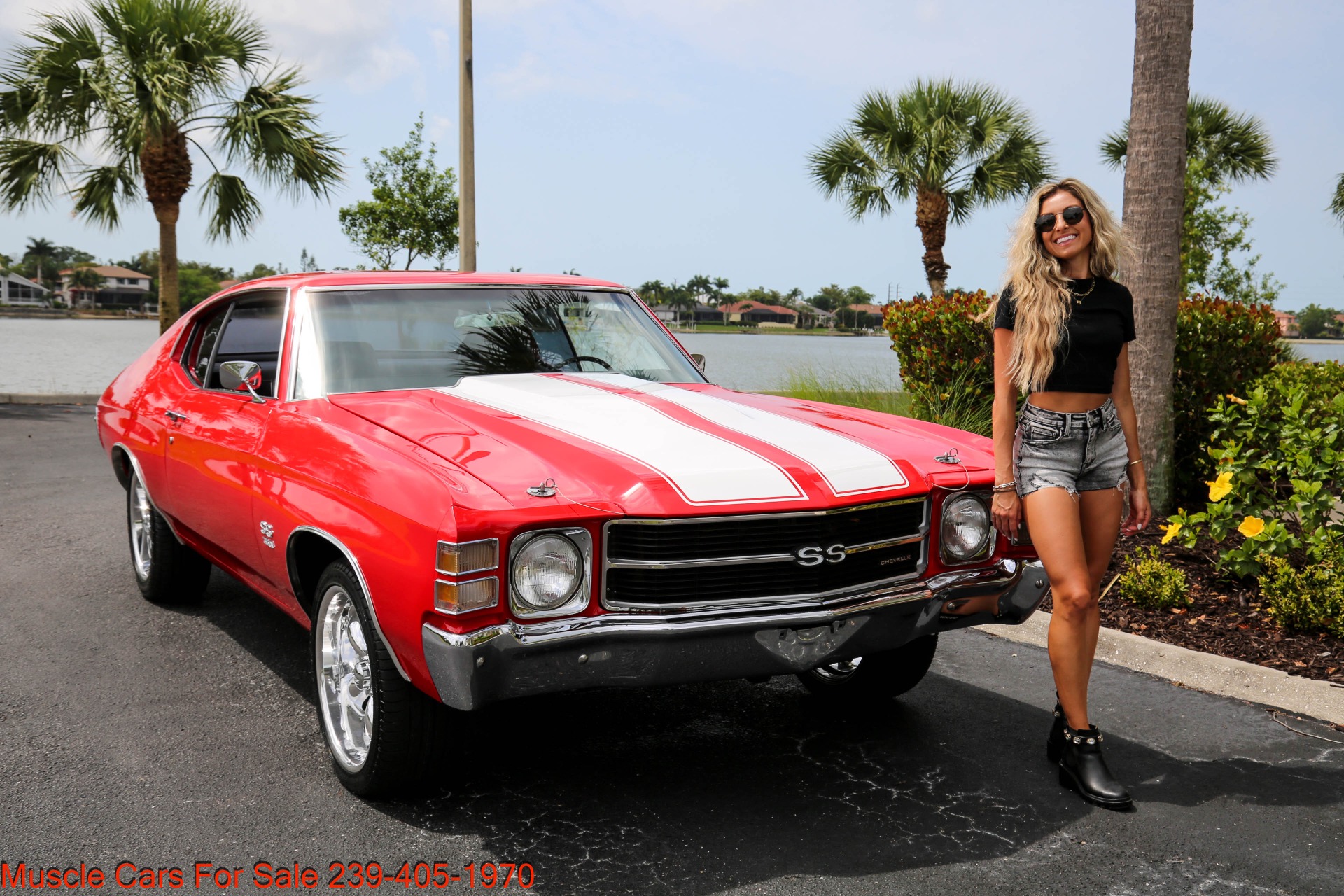 Used 1971 Chevrolet Chevelle V8 Auto for sale Sold at Muscle Cars for Sale Inc. in Fort Myers FL 33912 8
