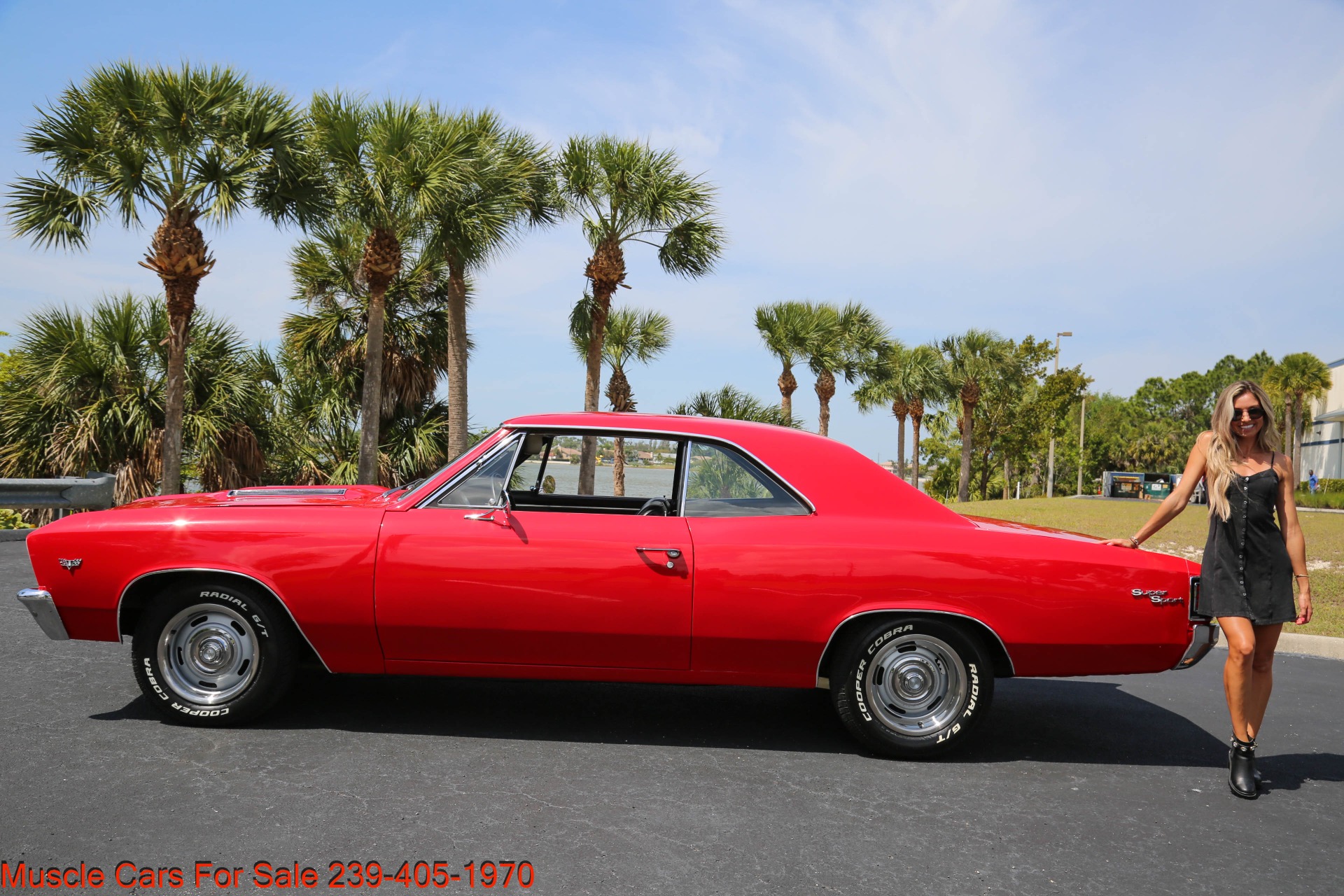 Used 1967 Chevrolet Chevelle V8 4 Speed Manual for sale Sold at Muscle Cars for Sale Inc. in Fort Myers FL 33912 4