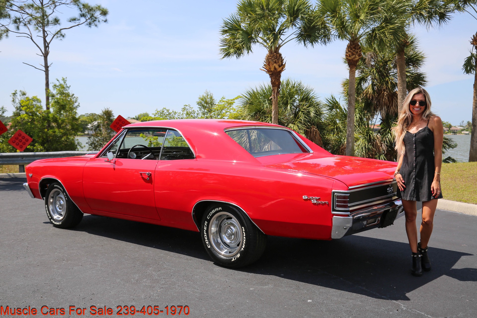 Used 1967 Chevrolet Chevelle V8 4 Speed Manual for sale Sold at Muscle Cars for Sale Inc. in Fort Myers FL 33912 5