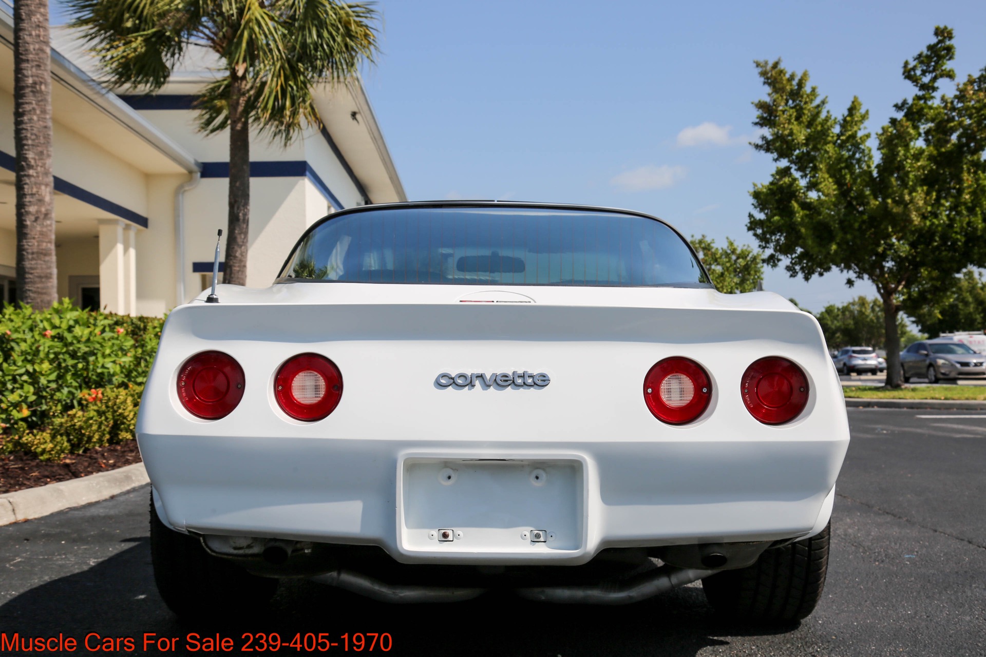 Used 1981 Chevrolet Corvette V8 Auto for sale Sold at Muscle Cars for Sale Inc. in Fort Myers FL 33912 4