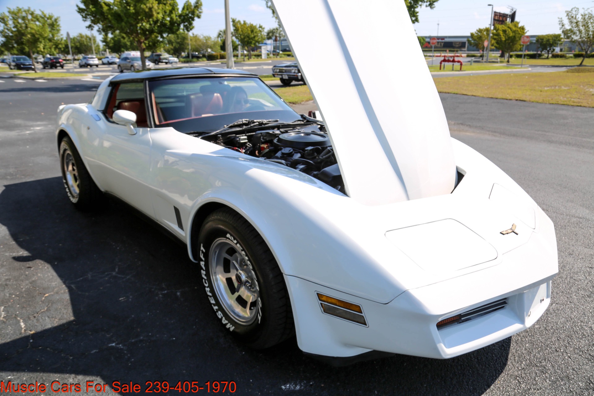 Used 1981 Chevrolet Corvette V8 Auto for sale Sold at Muscle Cars for Sale Inc. in Fort Myers FL 33912 6