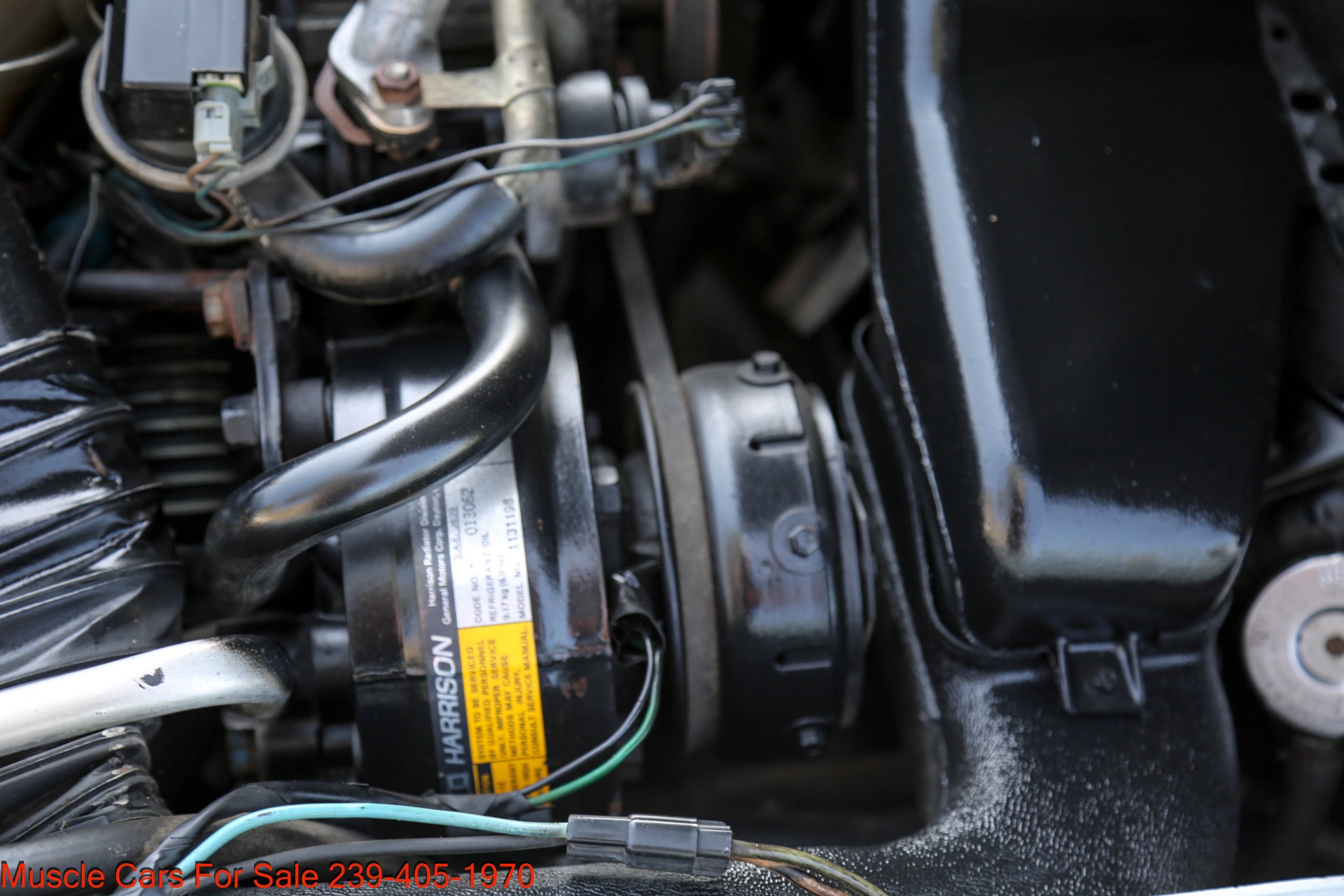 Used 1981 Chevrolet Corvette V8 Auto for sale Sold at Muscle Cars for Sale Inc. in Fort Myers FL 33912 7