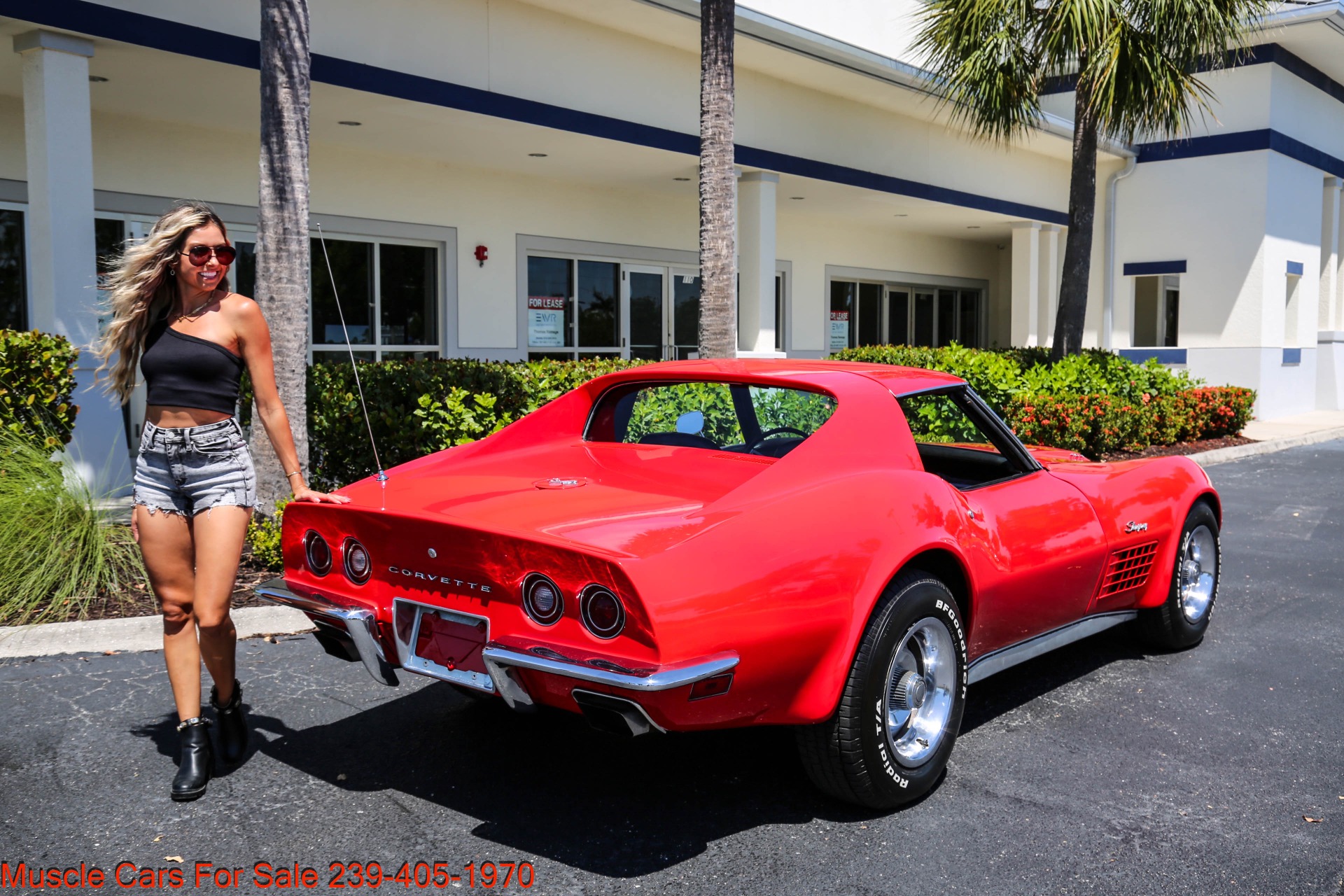Used 1972 Chevrolet Corvette Stingray LS5 454 for sale Sold at Muscle Cars for Sale Inc. in Fort Myers FL 33912 5