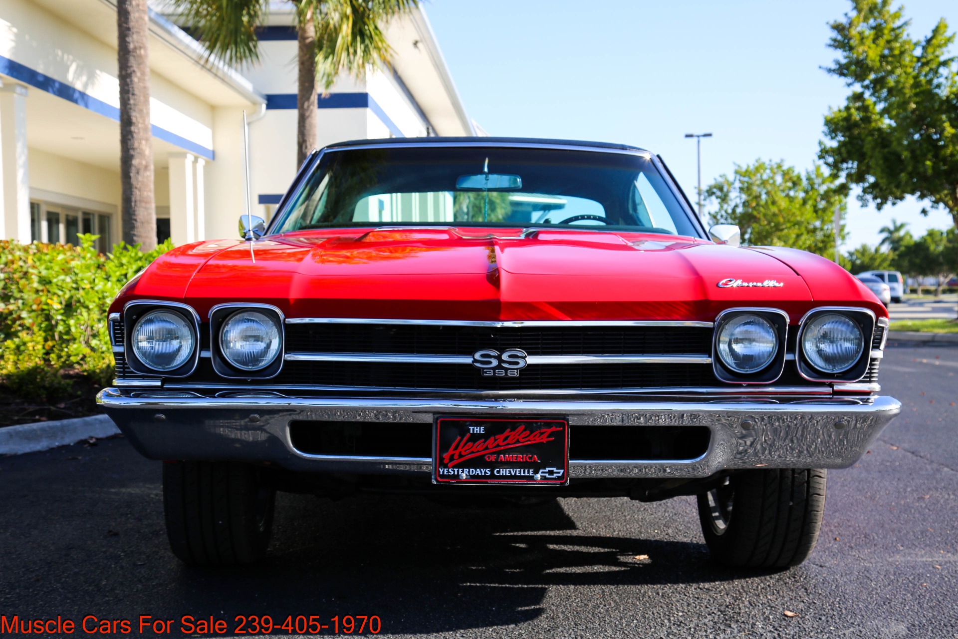 Used 1969 Chevrolet Chevelle SS for sale Sold at Muscle Cars for Sale Inc. in Fort Myers FL 33912 5