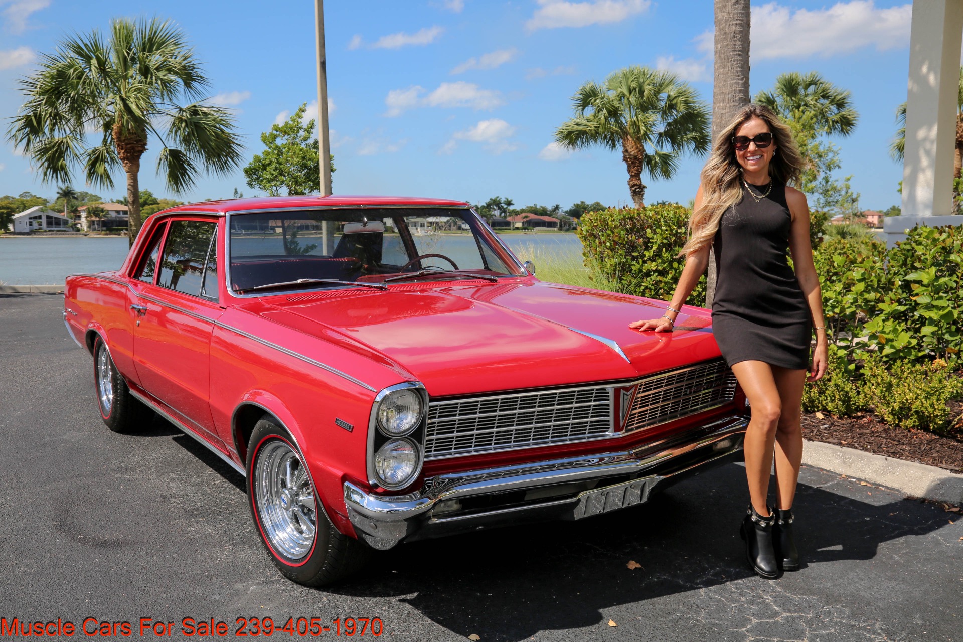 Used 1965 Pontiac Tempest for sale Sold at Muscle Cars for Sale Inc. in Fort Myers FL 33912 1