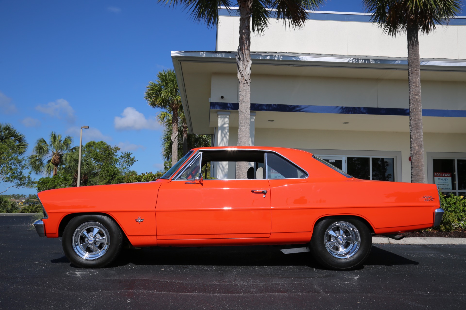 Used 1967 Chevrolet Nova Super Sport for sale Sold at Muscle Cars for Sale Inc. in Fort Myers FL 33912 5