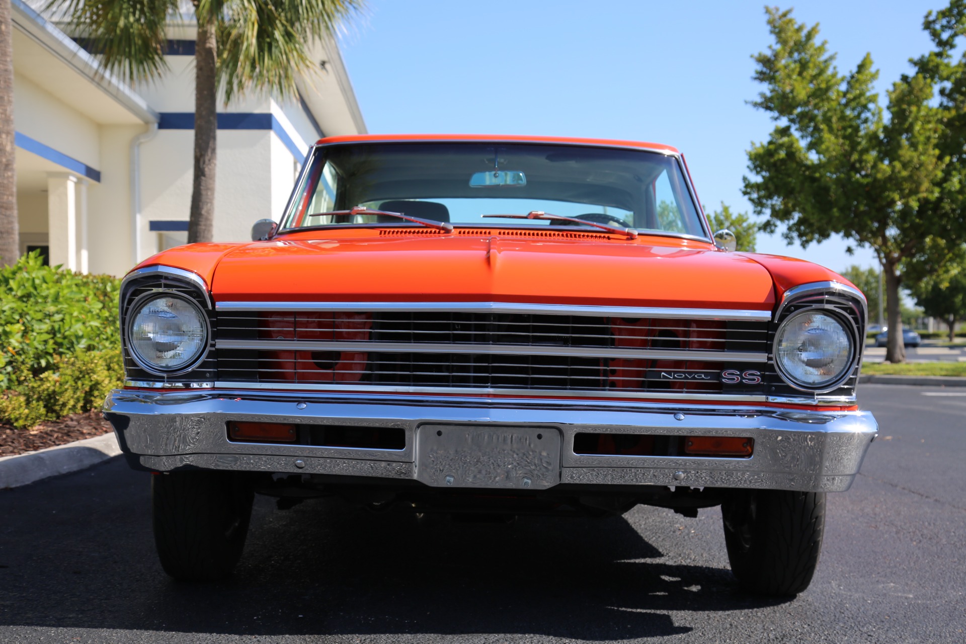 Used 1967 Chevrolet Nova Super Sport for sale Sold at Muscle Cars for Sale Inc. in Fort Myers FL 33912 6