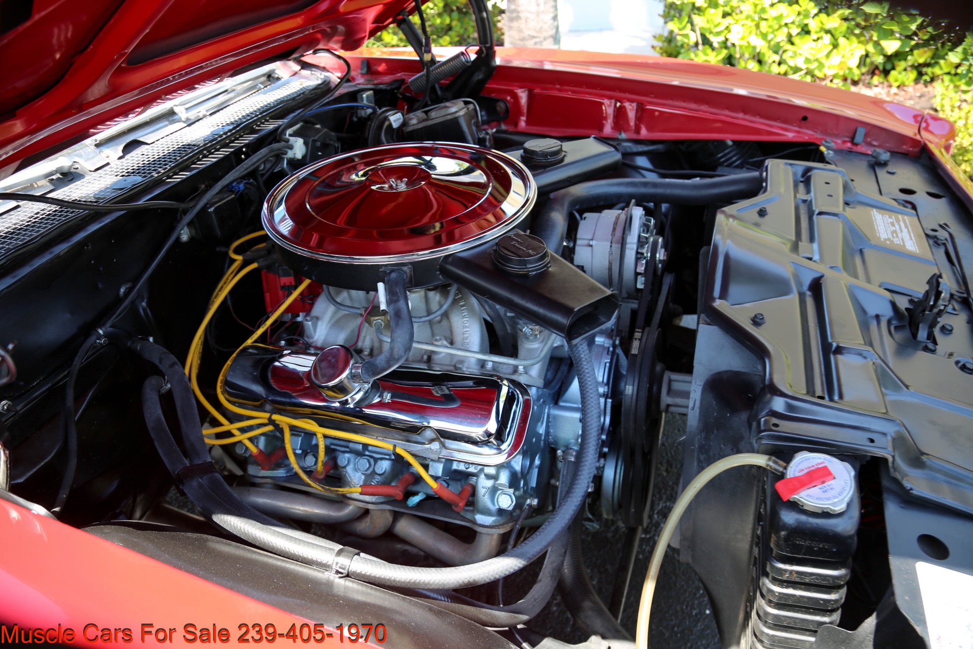 Used 1968 Pontiac GTO for sale Sold at Muscle Cars for Sale Inc. in Fort Myers FL 33912 5