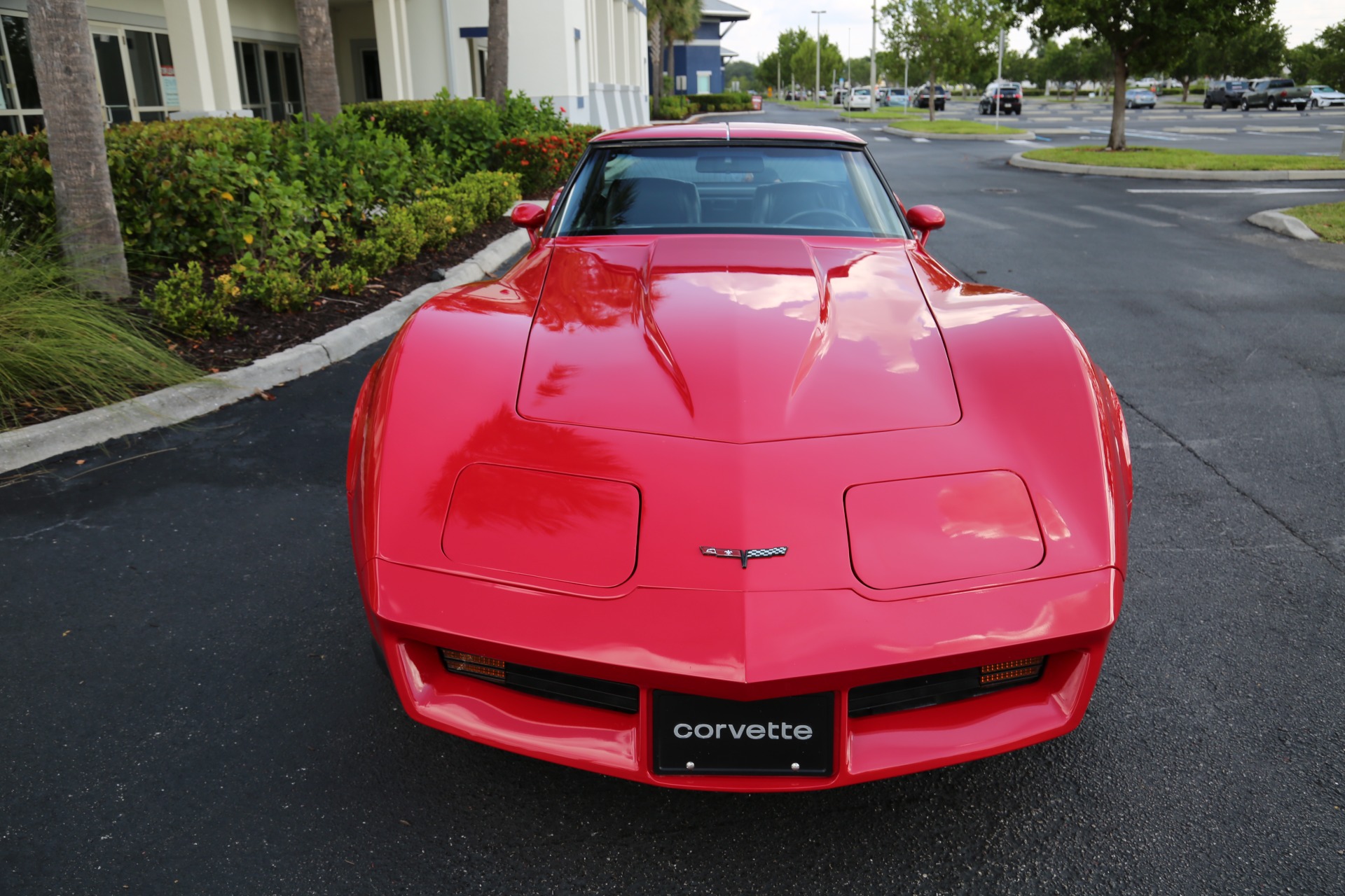 Used 1981 Chevrolet Corvette for sale Sold at Muscle Cars for Sale Inc. in Fort Myers FL 33912 4