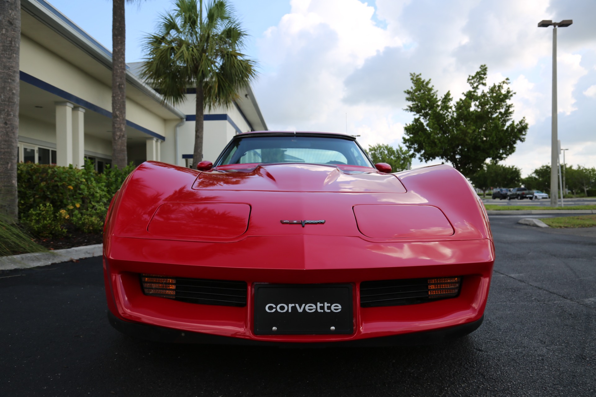 Used 1981 Chevrolet Corvette for sale Sold at Muscle Cars for Sale Inc. in Fort Myers FL 33912 8