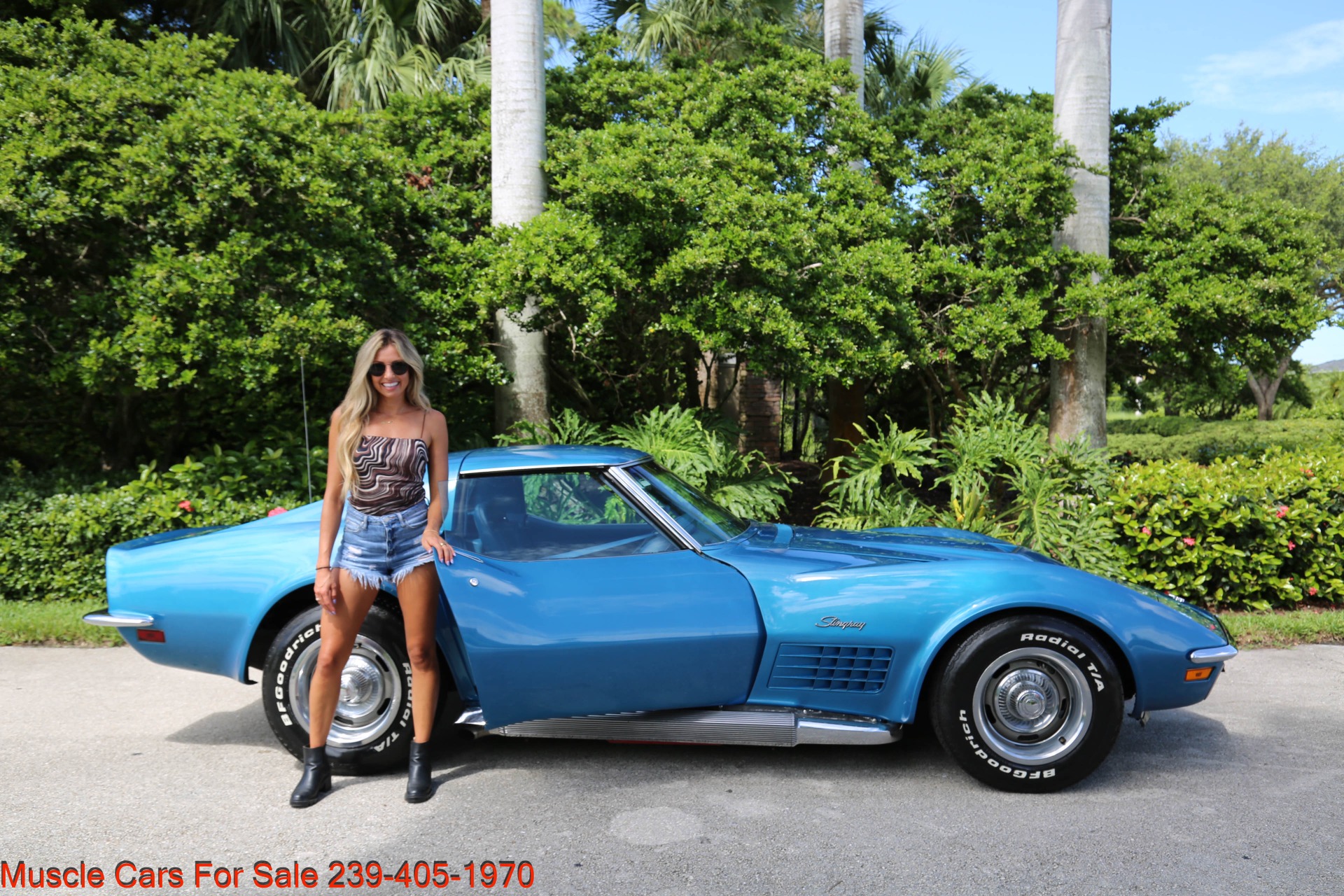 Used 1971 Chevrolet Corvette Stingray V8 Auto for sale Sold at Muscle Cars for Sale Inc. in Fort Myers FL 33912 8