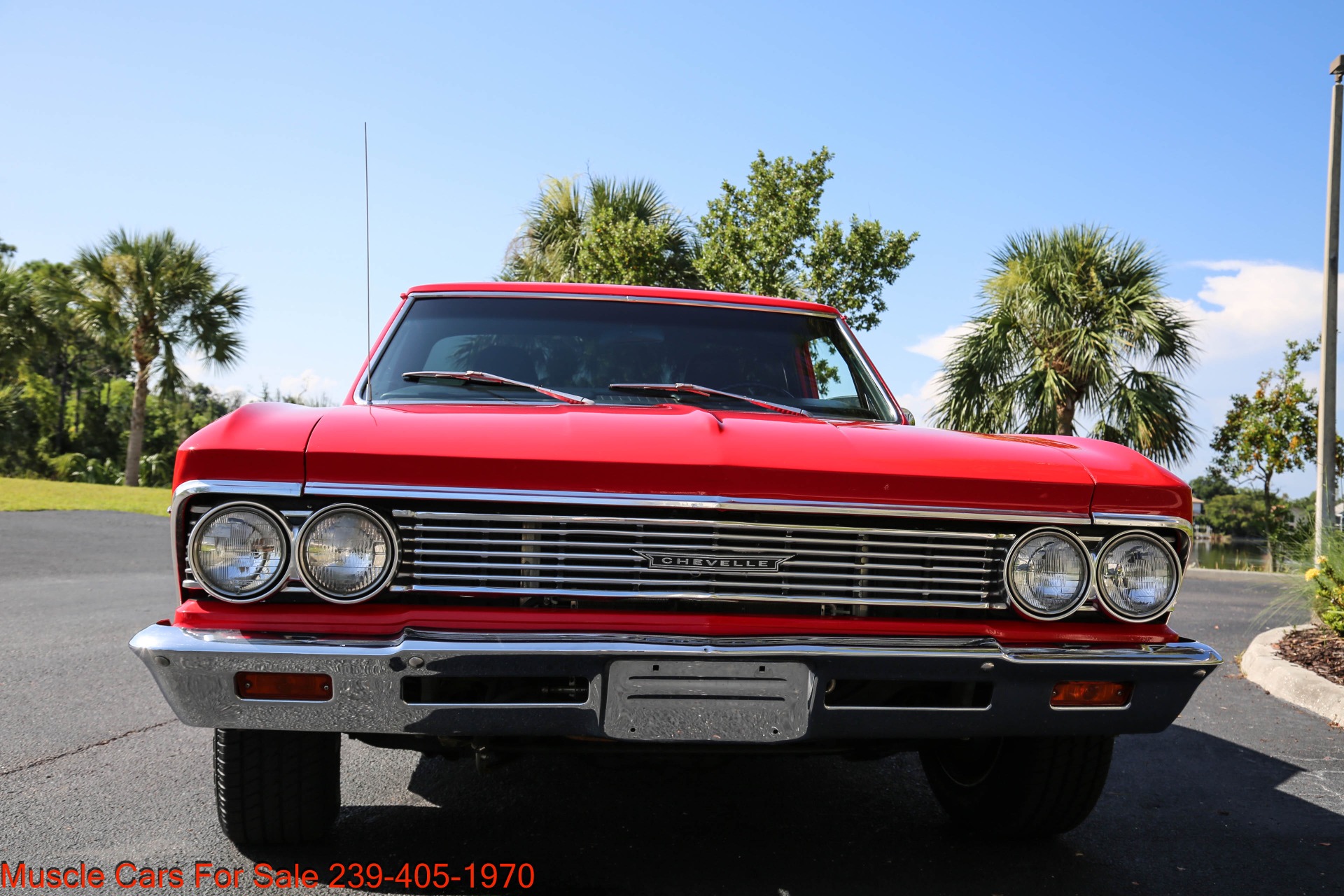 Used 1966 Chevrolet El Camino for sale Sold at Muscle Cars for Sale Inc. in Fort Myers FL 33912 6