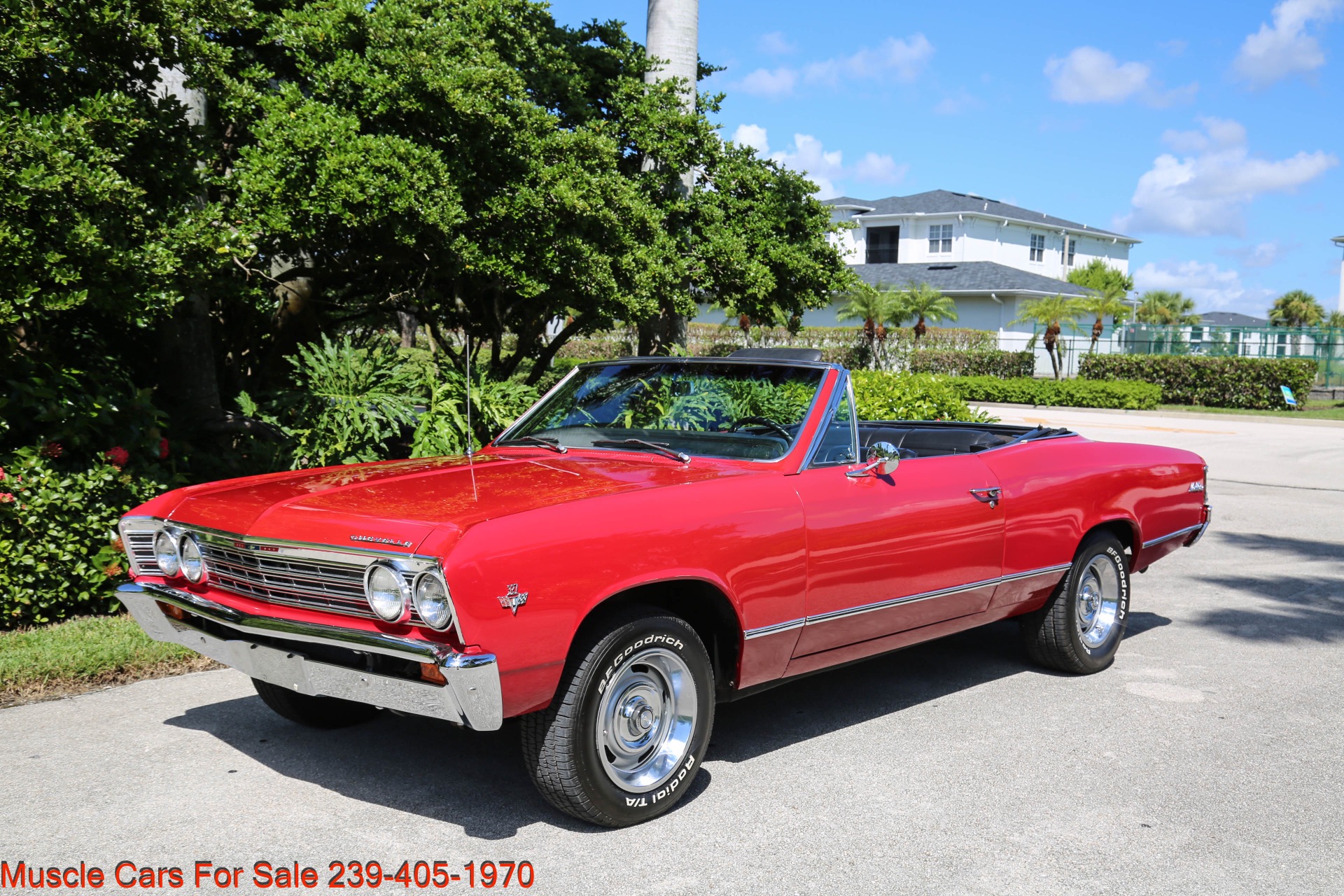 Used 1967 Chevrolet Chevelle Malibu Convertible for sale Sold at Muscle Cars for Sale Inc. in Fort Myers FL 33912 3