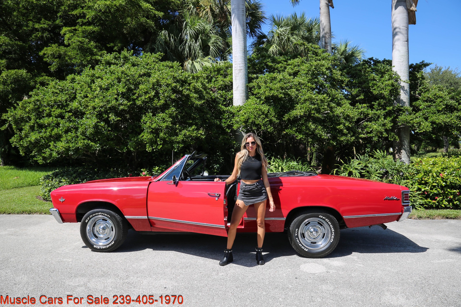 Used 1967 Chevrolet Chevelle Malibu Convertible for sale Sold at Muscle Cars for Sale Inc. in Fort Myers FL 33912 5