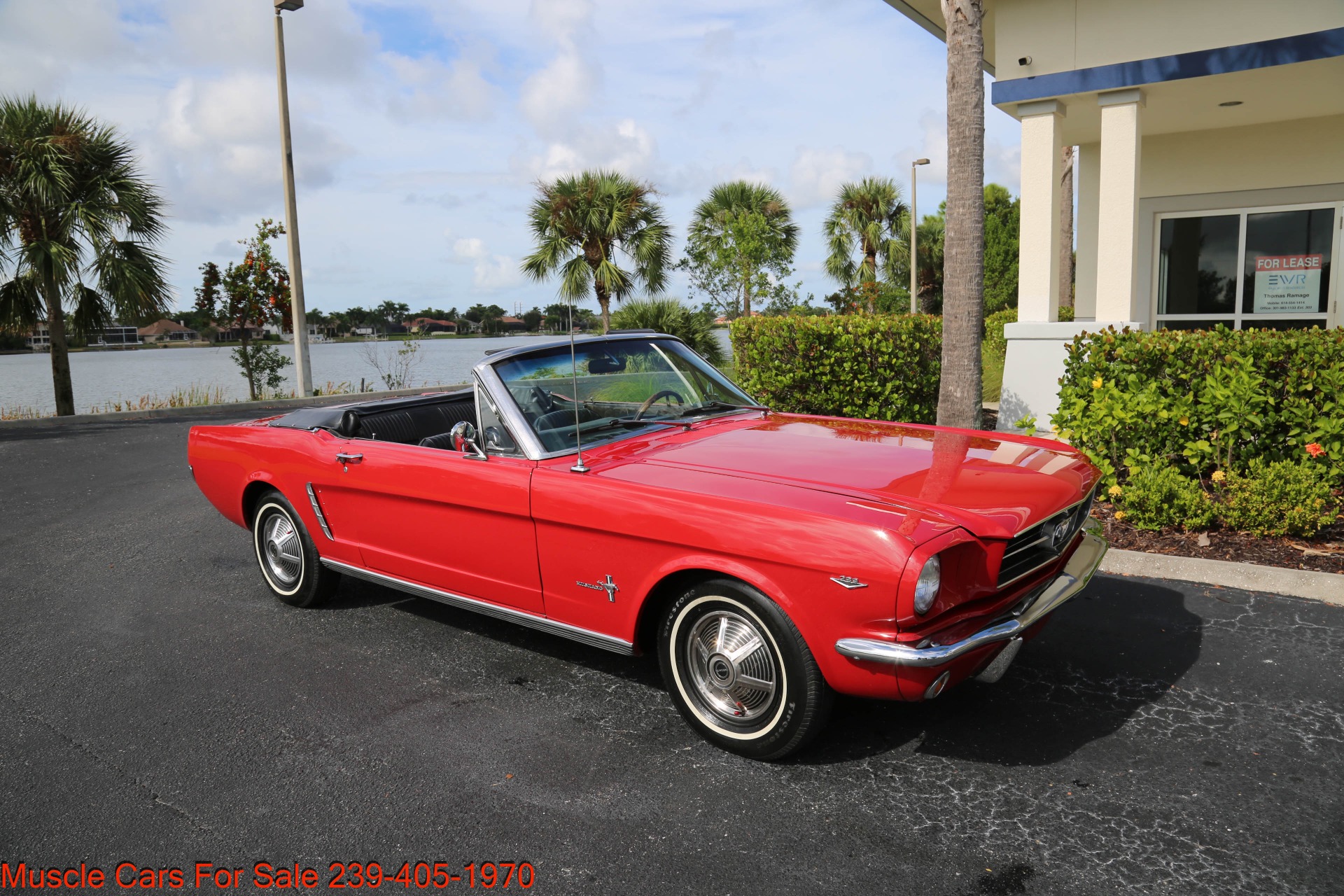 Used 1965 Ford Mustang C Code 289 V8 Auto for sale Sold at Muscle Cars for Sale Inc. in Fort Myers FL 33912 5