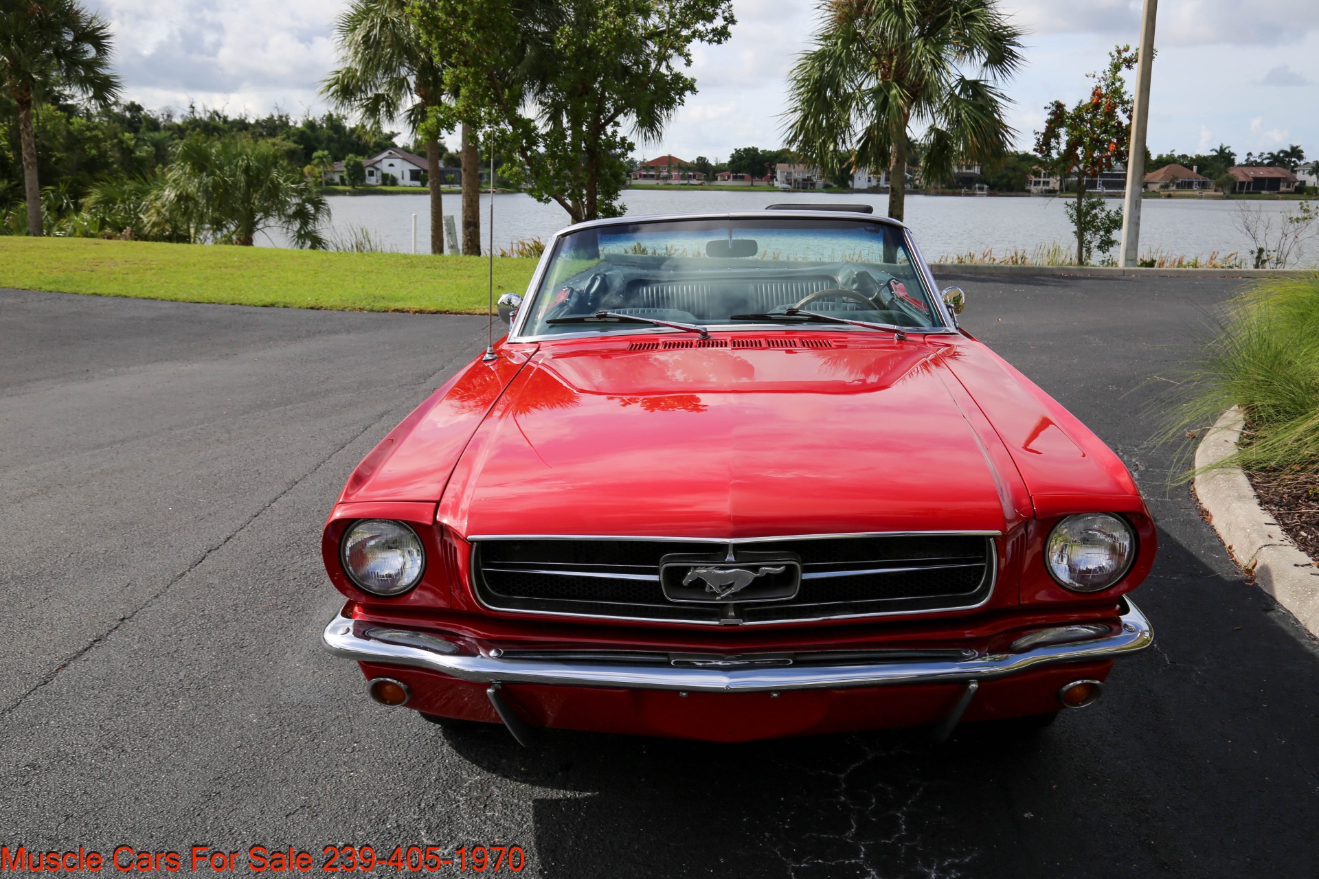 Used 1965 Ford Mustang C Code 289 V8 Auto for sale Sold at Muscle Cars for Sale Inc. in Fort Myers FL 33912 6