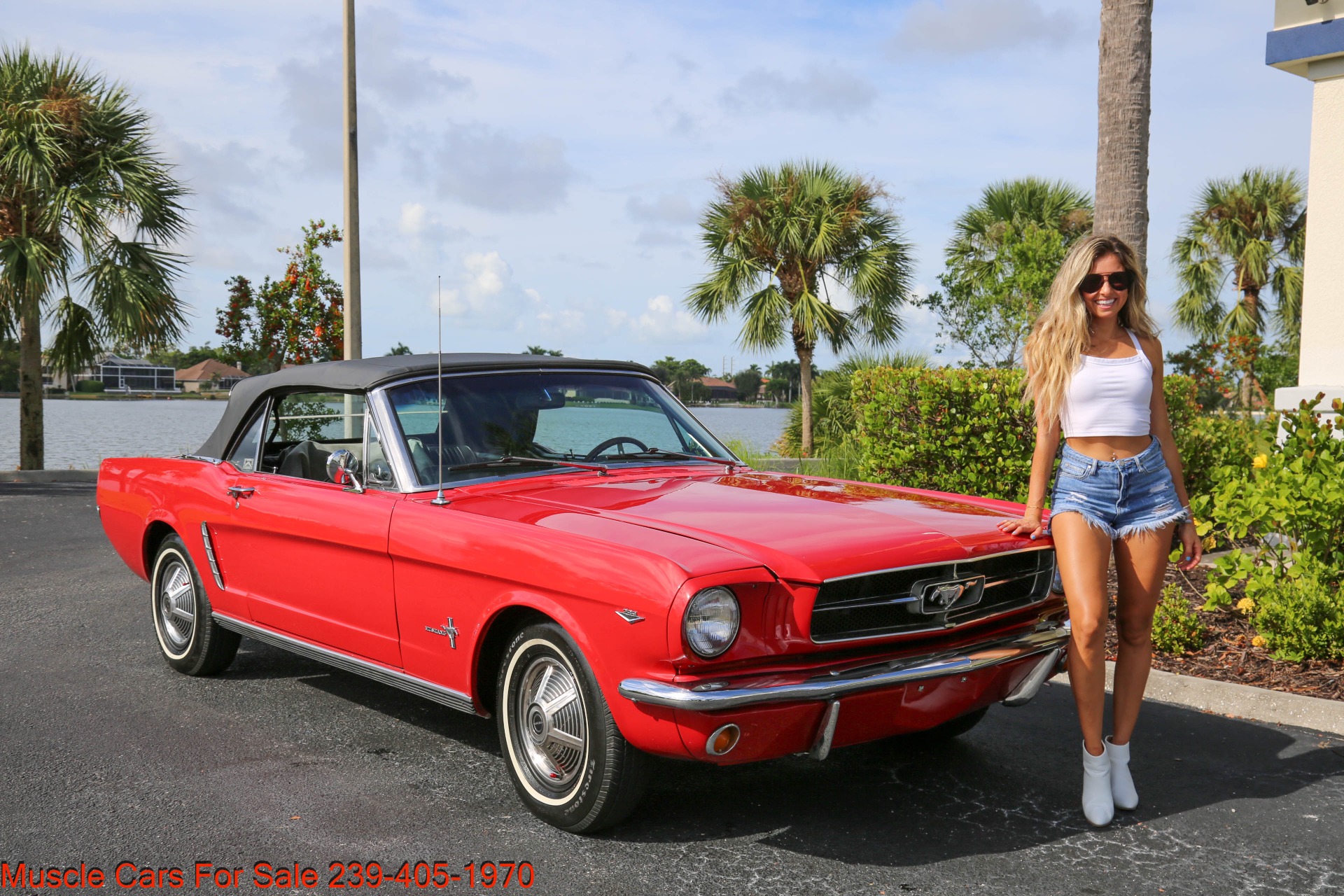 Used 1965 Ford Mustang C Code 289 V8 Auto for sale Sold at Muscle Cars for Sale Inc. in Fort Myers FL 33912 8