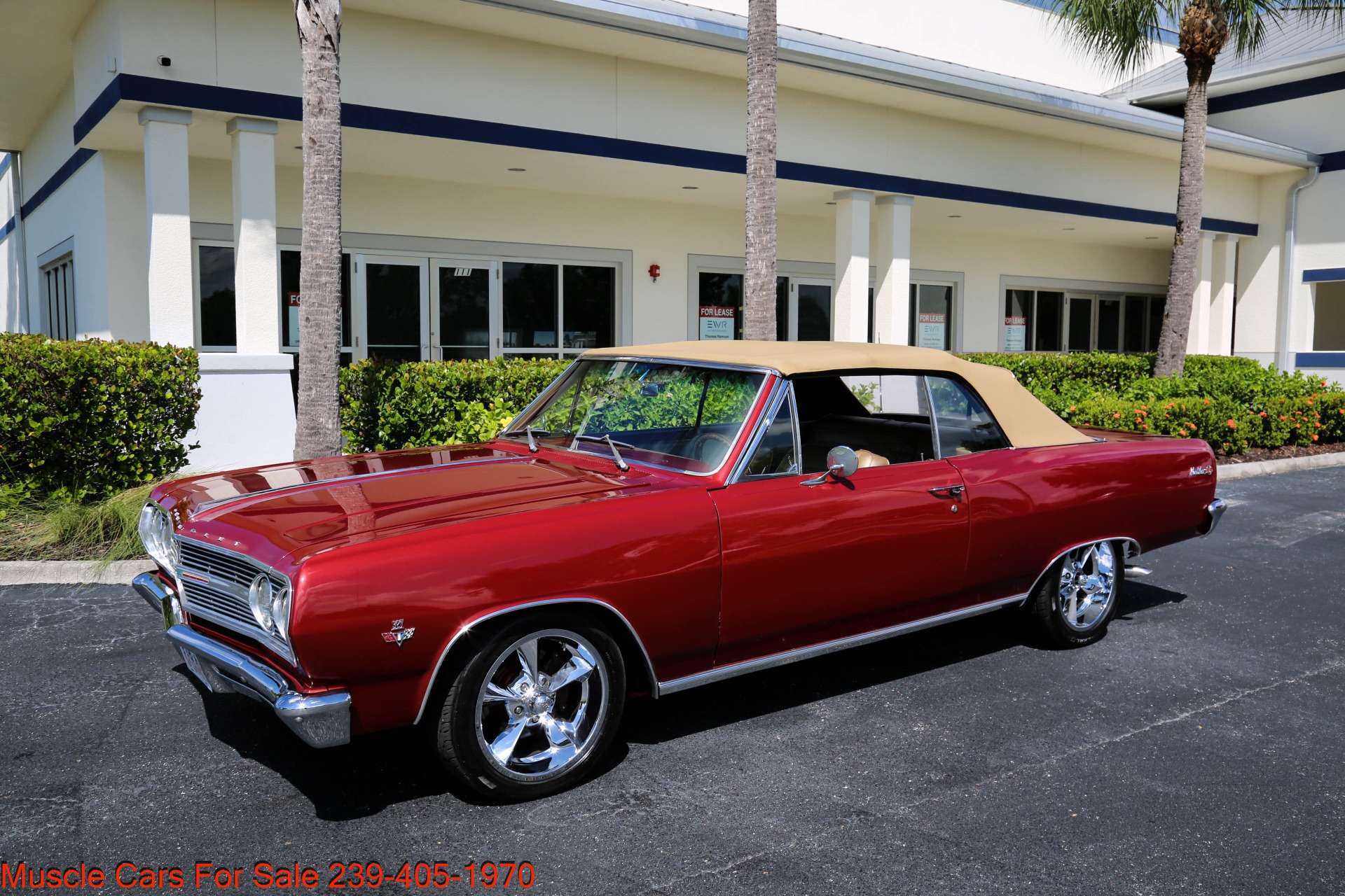 Used 1965 Chevrolet malibu SS Super Sport # Match for sale Sold at Muscle Cars for Sale Inc. in Fort Myers FL 33912 7