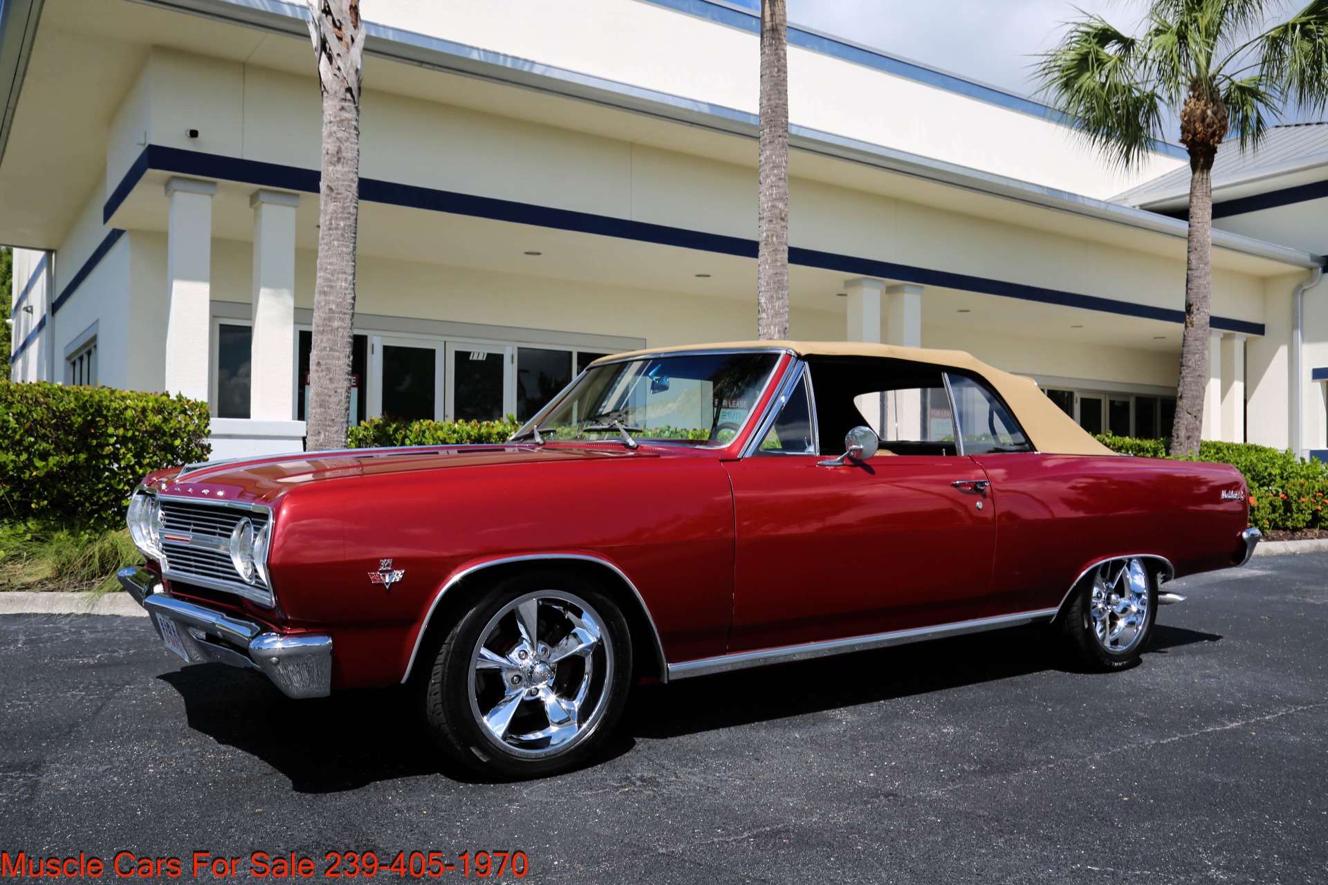Used 1965 Chevrolet malibu SS Super Sport # Match for sale Sold at Muscle Cars for Sale Inc. in Fort Myers FL 33912 8