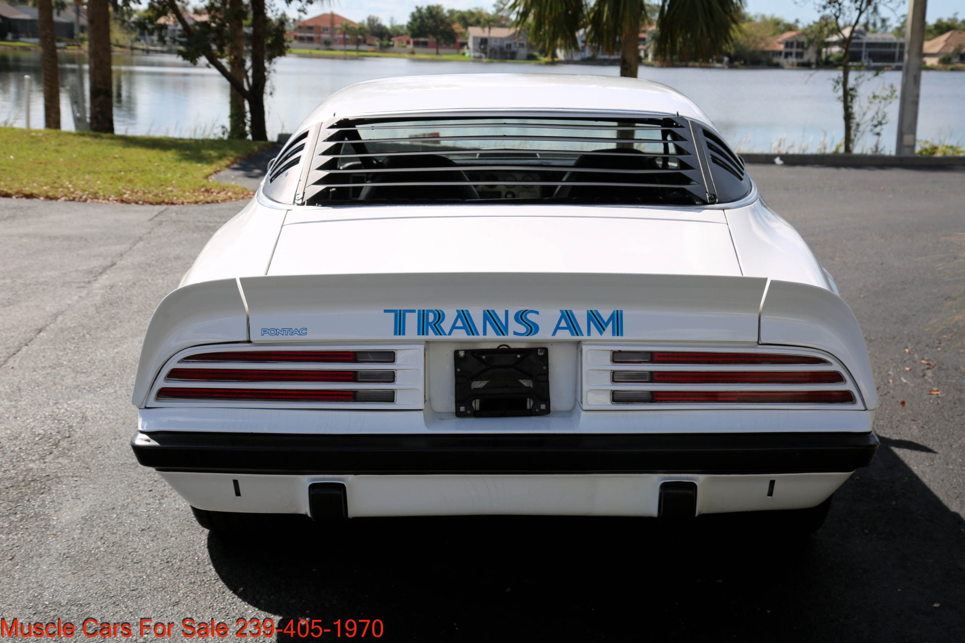 Used 1975 Pontiac Trans Am TransAm for sale Sold at Muscle Cars for Sale Inc. in Fort Myers FL 33912 6