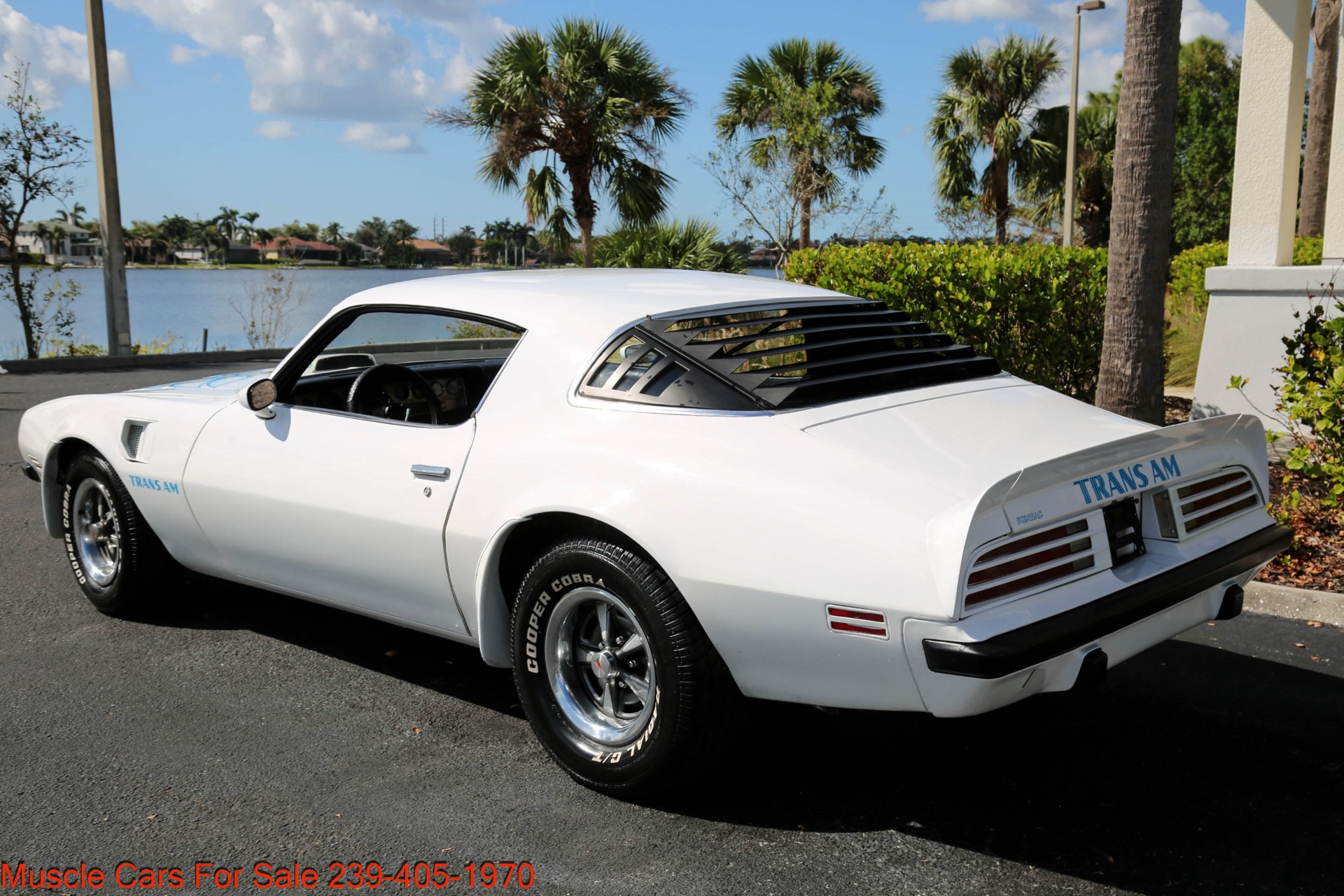Used 1975 Pontiac Trans Am TransAm for sale Sold at Muscle Cars for Sale Inc. in Fort Myers FL 33912 7