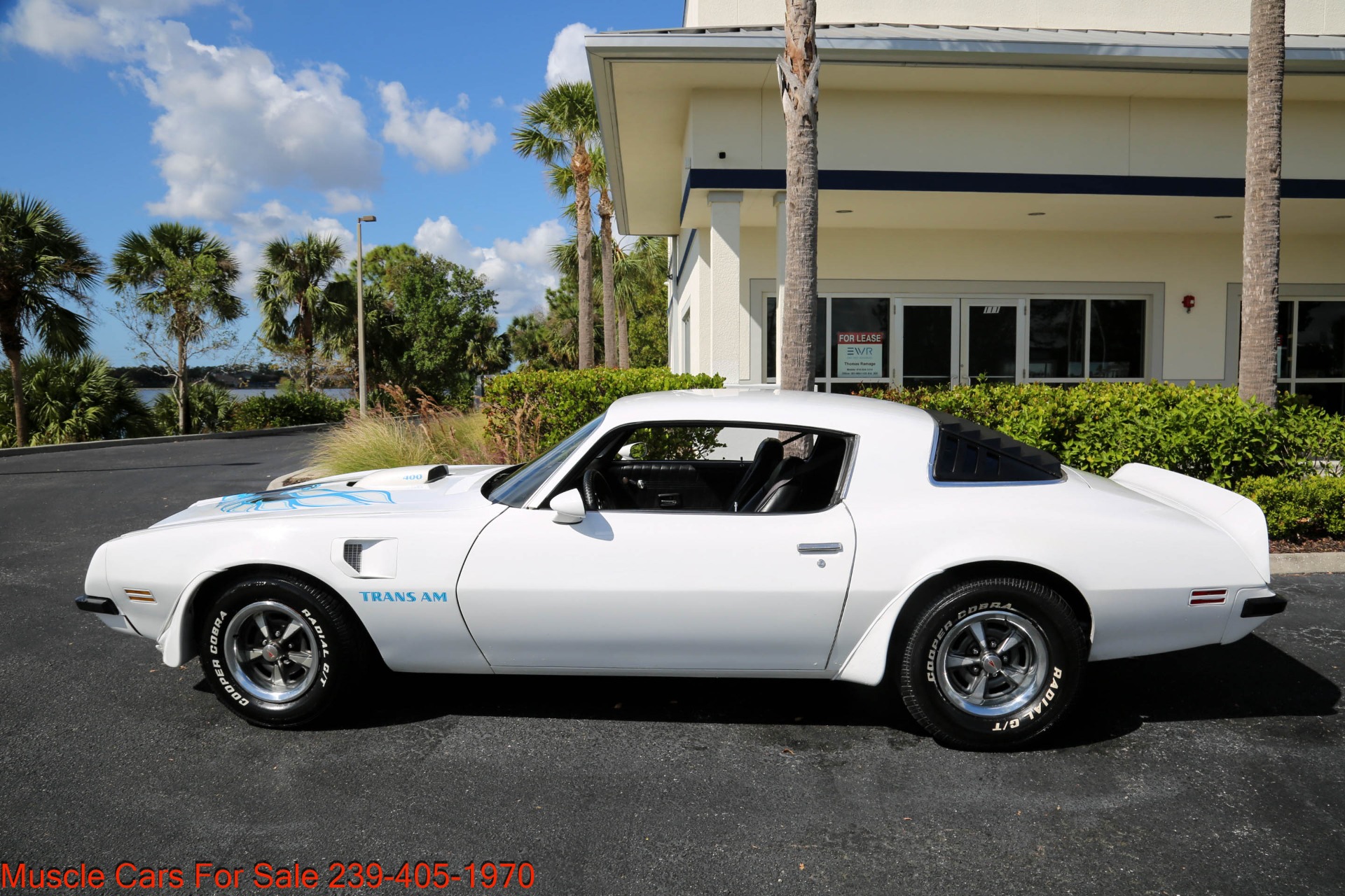 Used 1975 Pontiac Trans Am TransAm for sale Sold at Muscle Cars for Sale Inc. in Fort Myers FL 33912 8