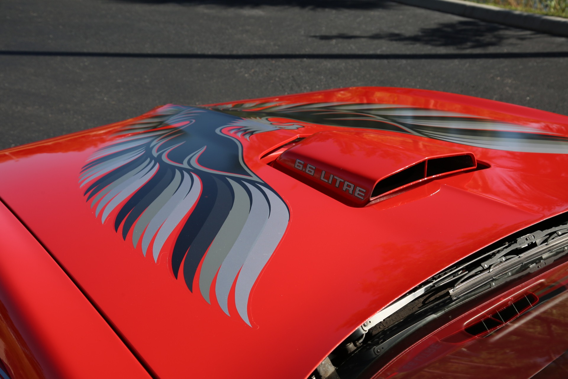 Used 1979 Pontiac Trans Am 6.6 Auto T Top for sale Sold at Muscle Cars for Sale Inc. in Fort Myers FL 33912 6