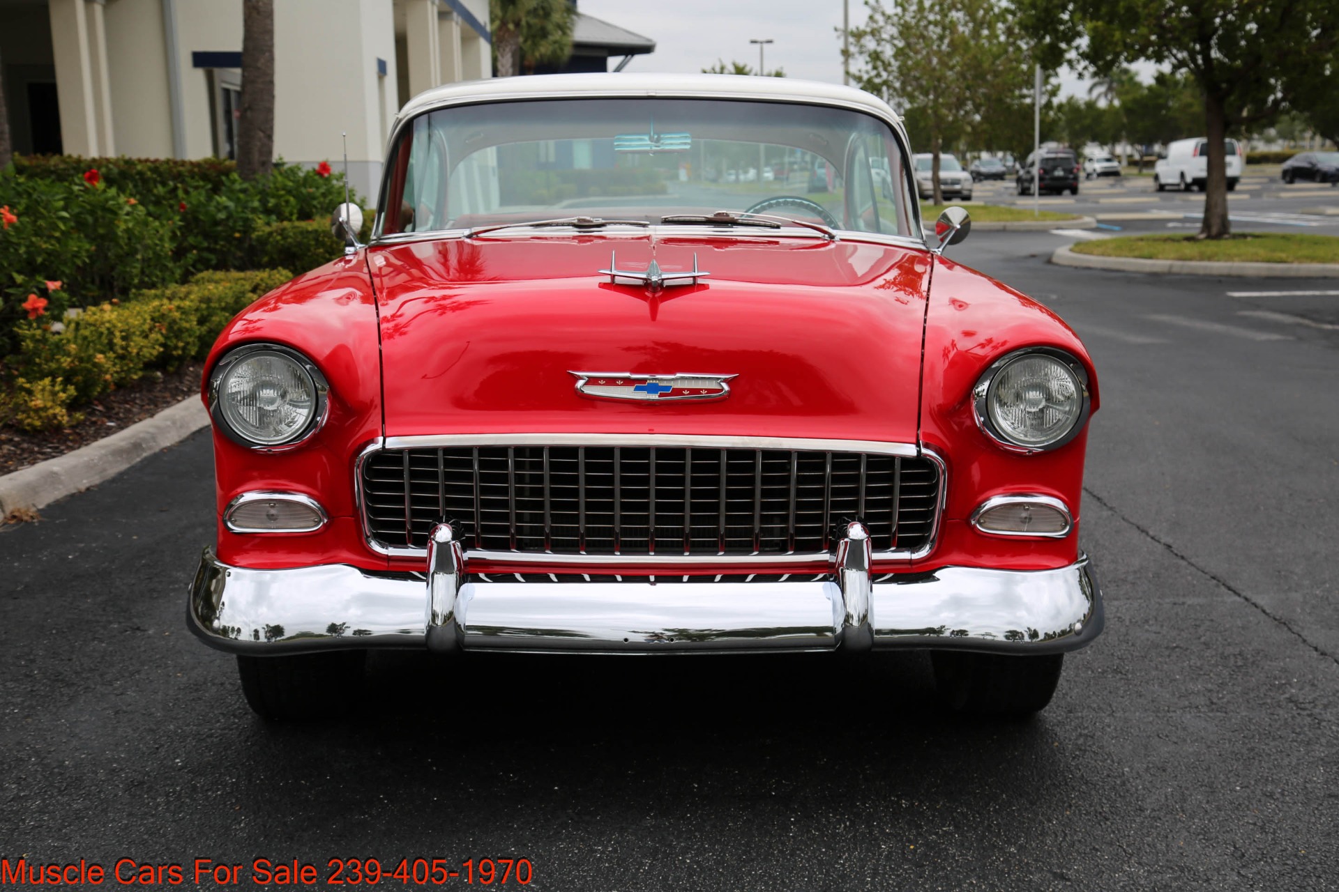 Used 1955 Chevrolet Belair V8 Auto for sale Sold at Muscle Cars for Sale Inc. in Fort Myers FL 33912 6
