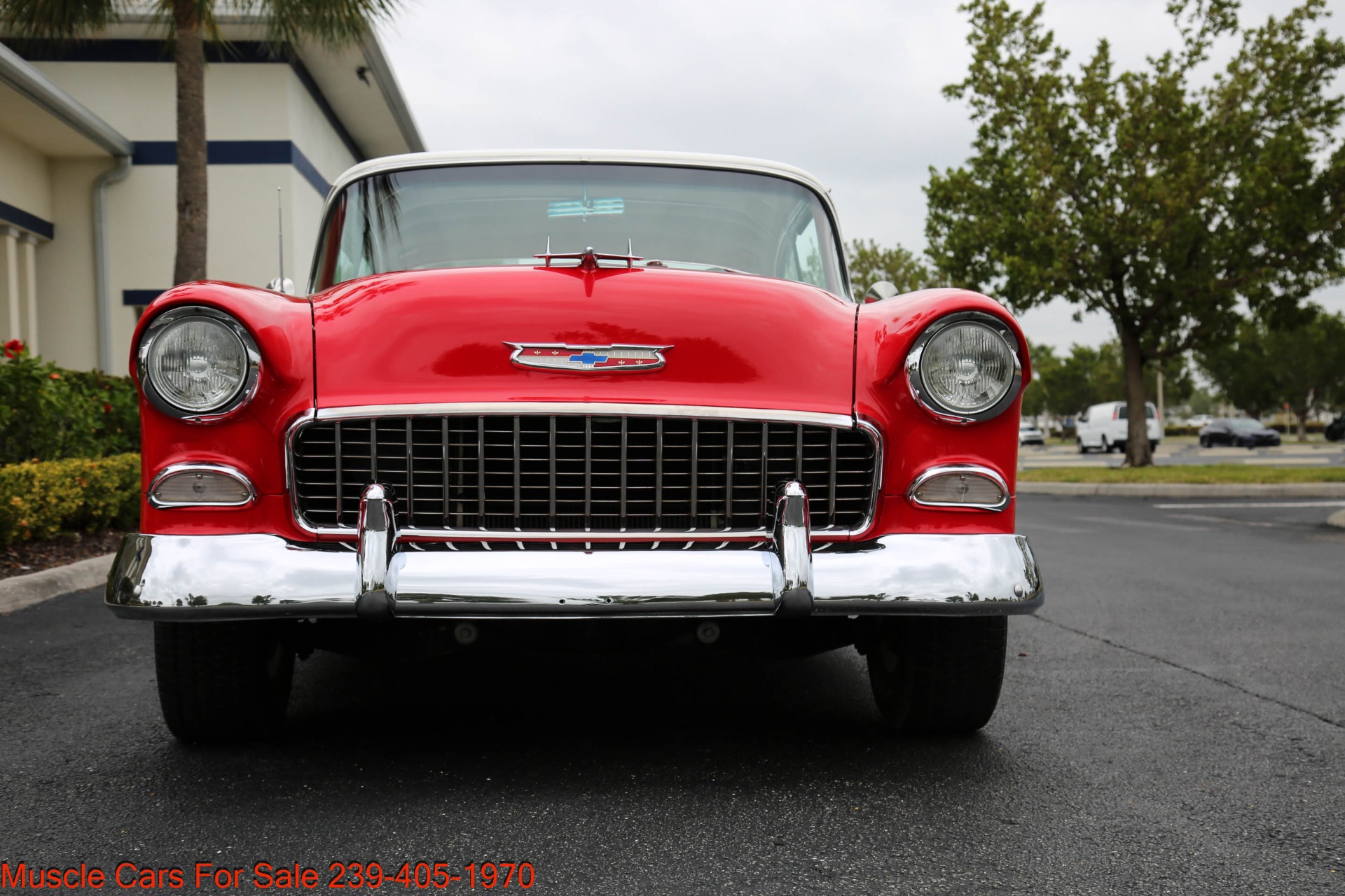 Used 1955 Chevrolet Belair V8 Auto for sale Sold at Muscle Cars for Sale Inc. in Fort Myers FL 33912 8