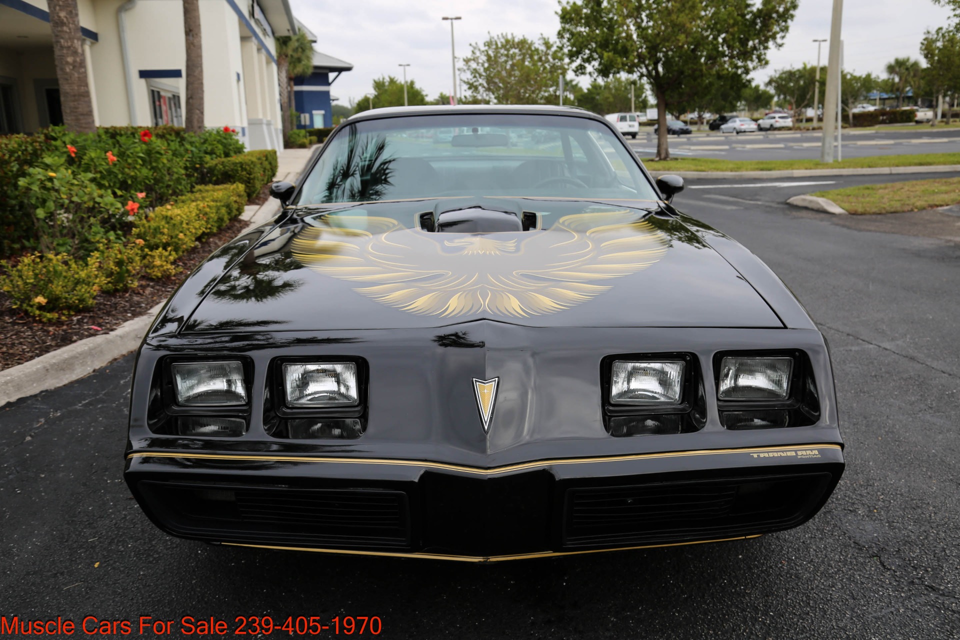 Used 1979 Pontiac TRANS AM 6.6 4 Speed manual for sale Sold at Muscle Cars for Sale Inc. in Fort Myers FL 33912 2